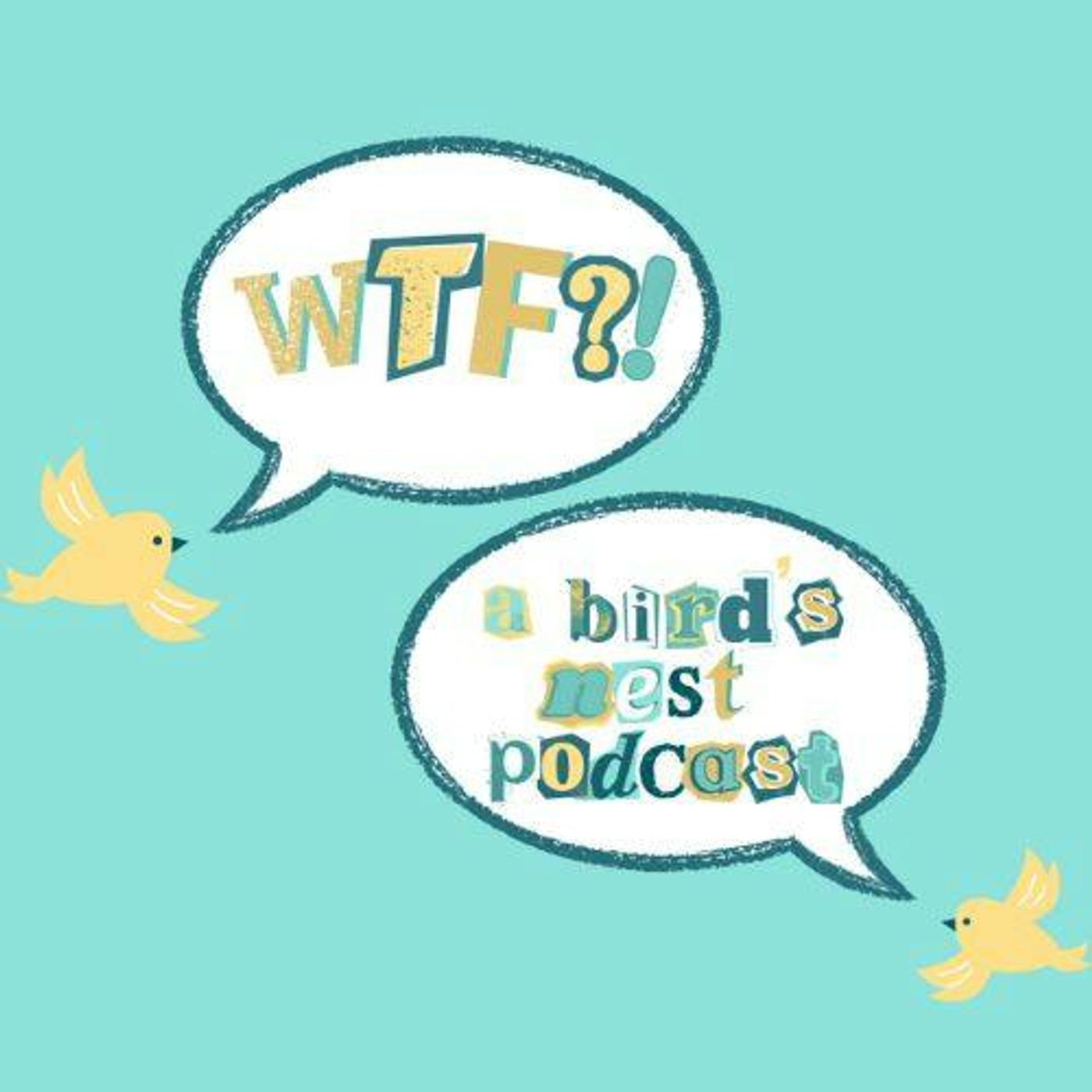 Episode 1: What The Flock Am I Doing With My Life?!