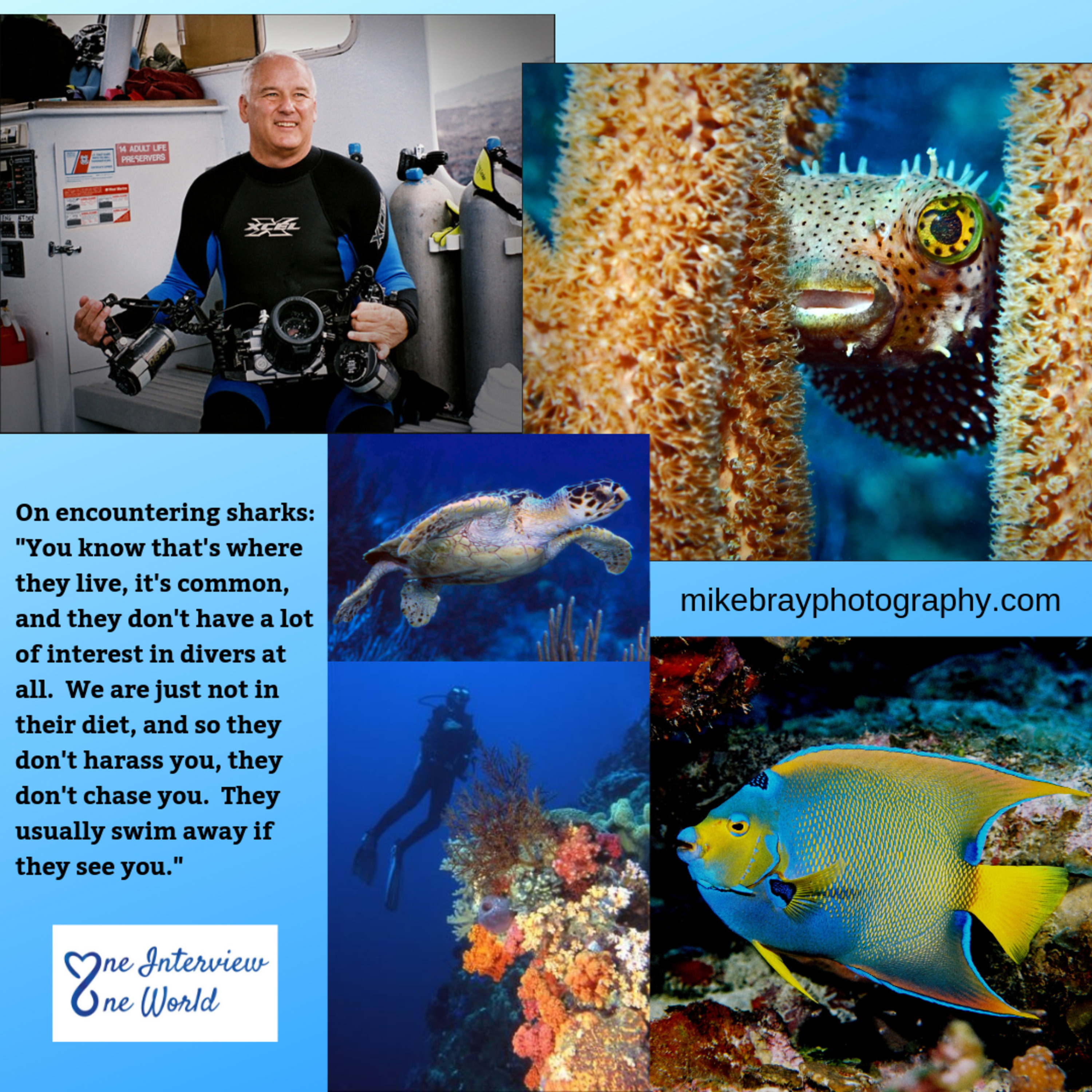 Lifelong scuba diver & photographer, Mike Bray, shares about what it is like to scuba dive.