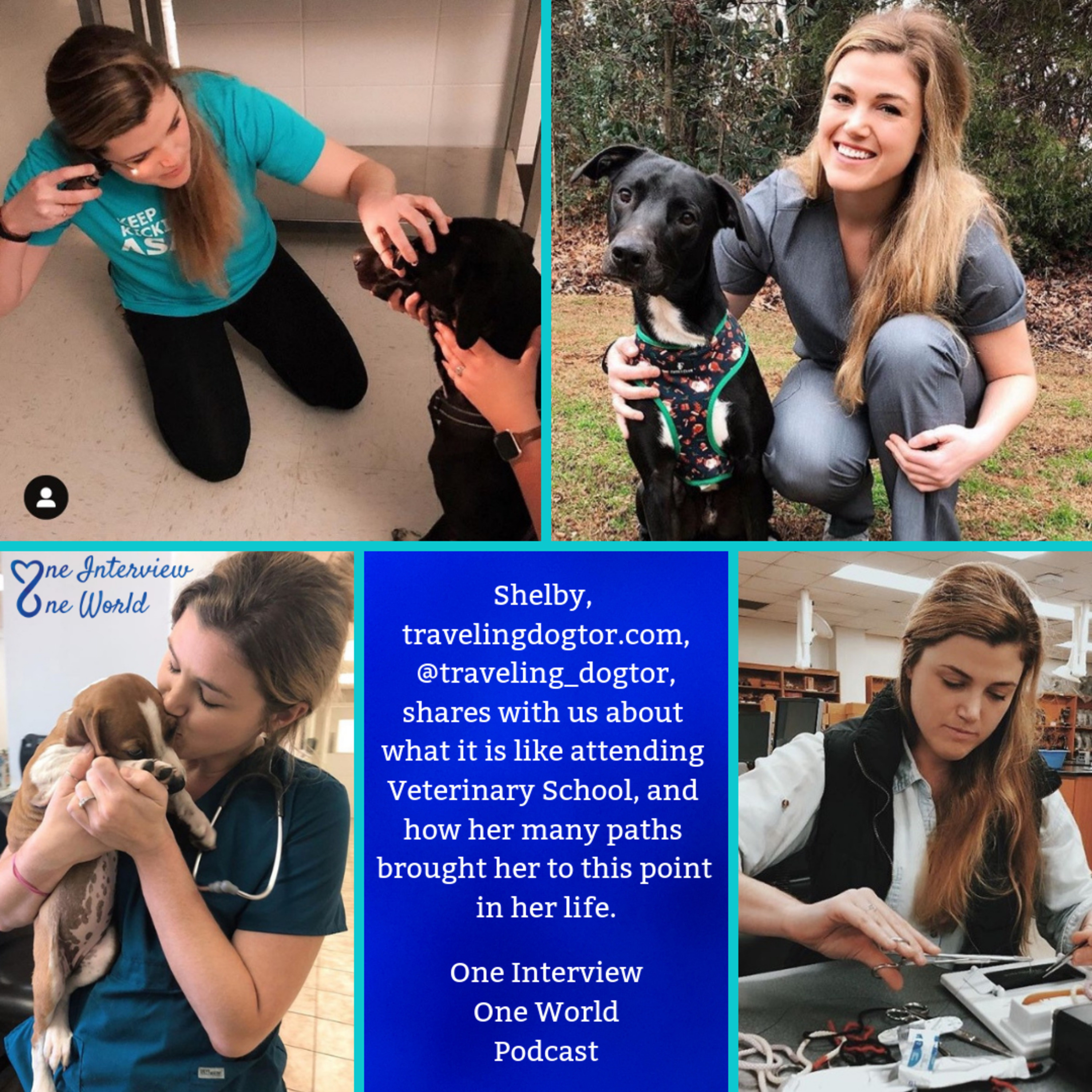 The life of a Veterinary Student.  Shelby, travelingdogtor.com