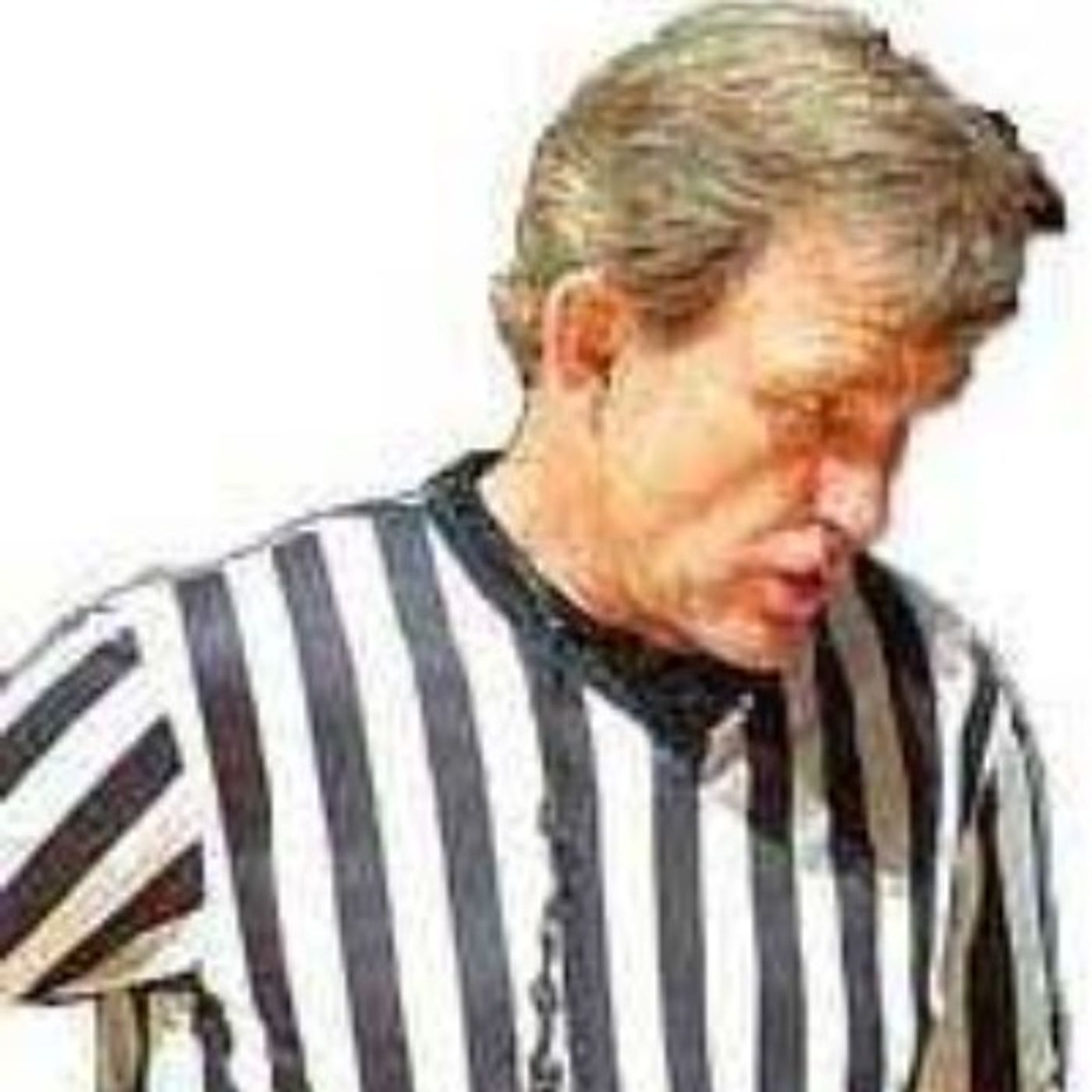 Ron Zetcher, HOF referee