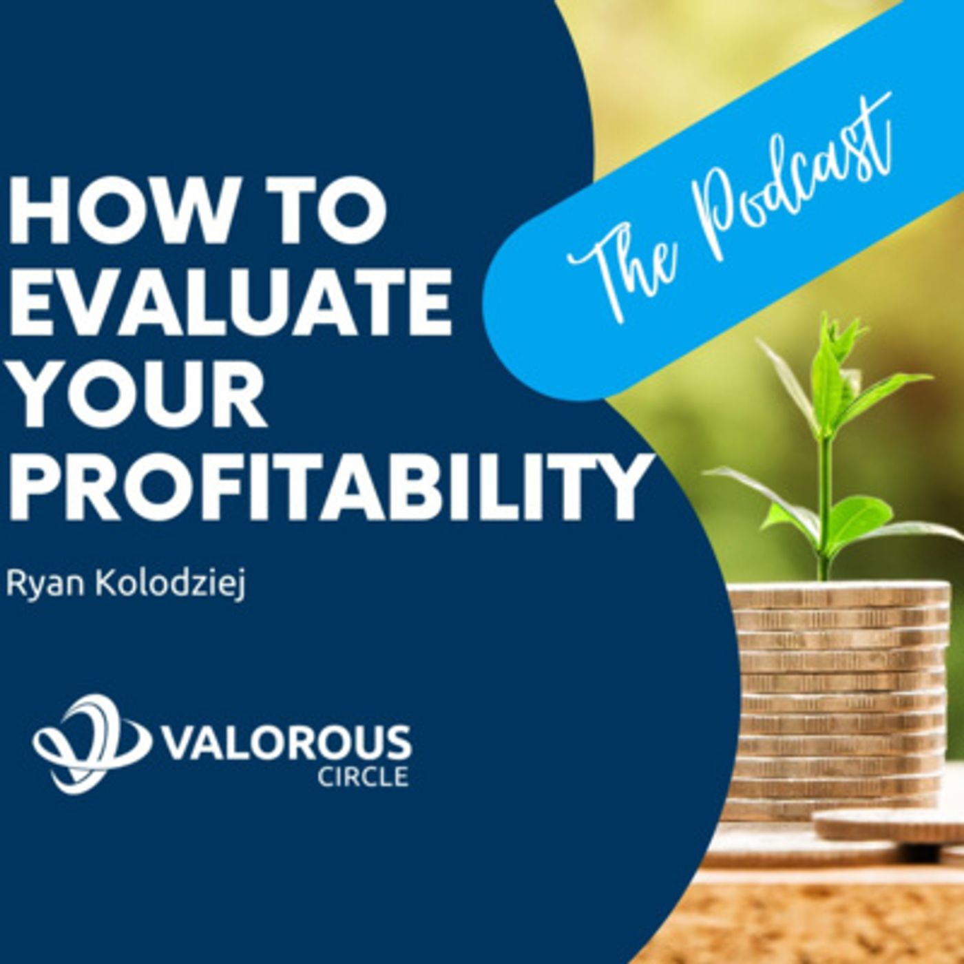 How to Evaluate Your Profitability - The Valorous Podcast