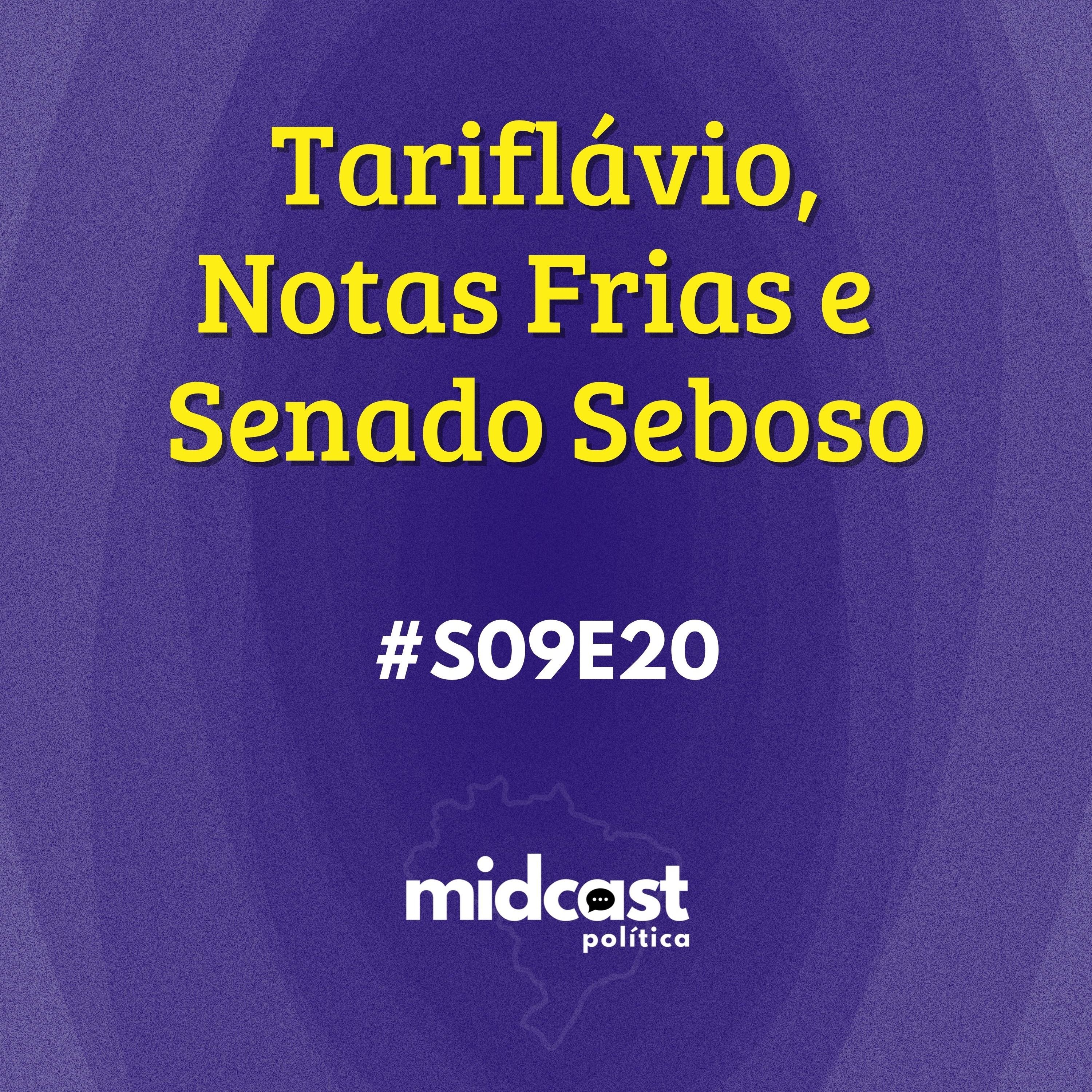 S09E20 - Tariflávio, Notas Frias e Senado Seboso episode artwork