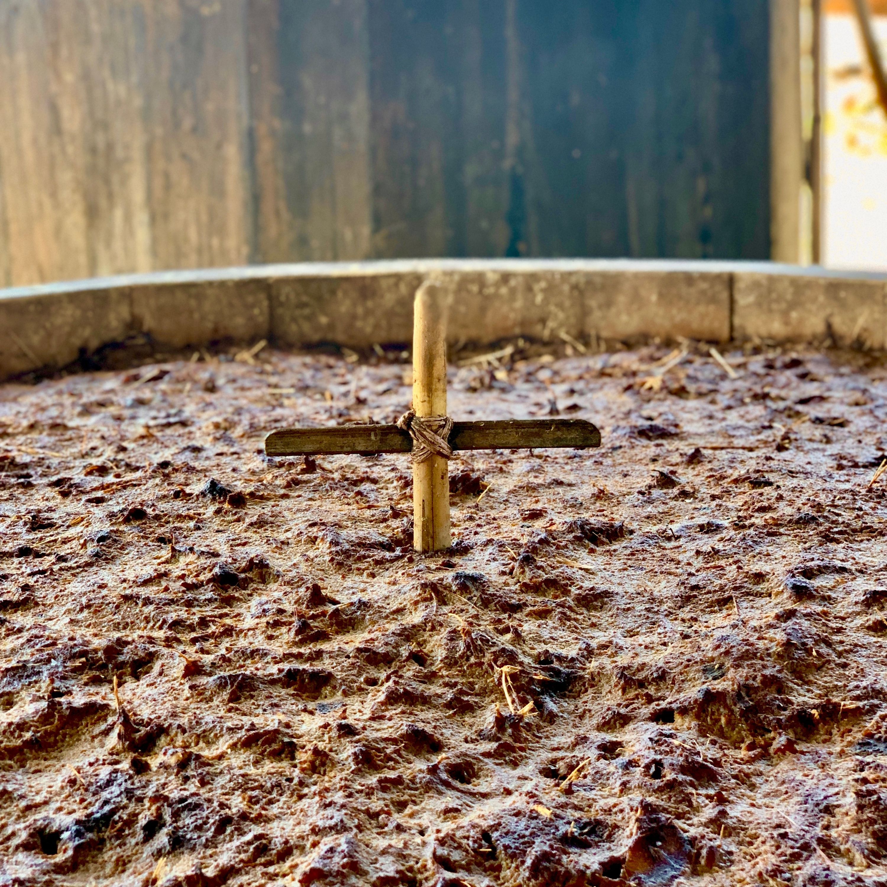 Presenting Agave Road Trip #5: Fermentation