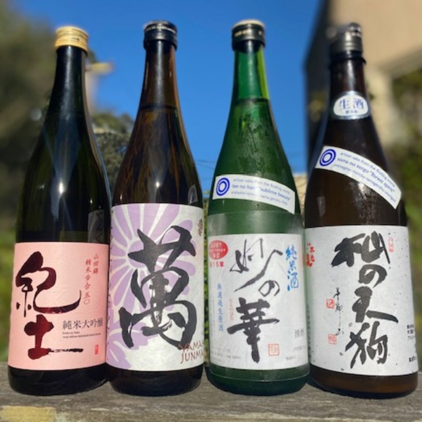 Sake and Cheese Pairing with Jesse Pugach