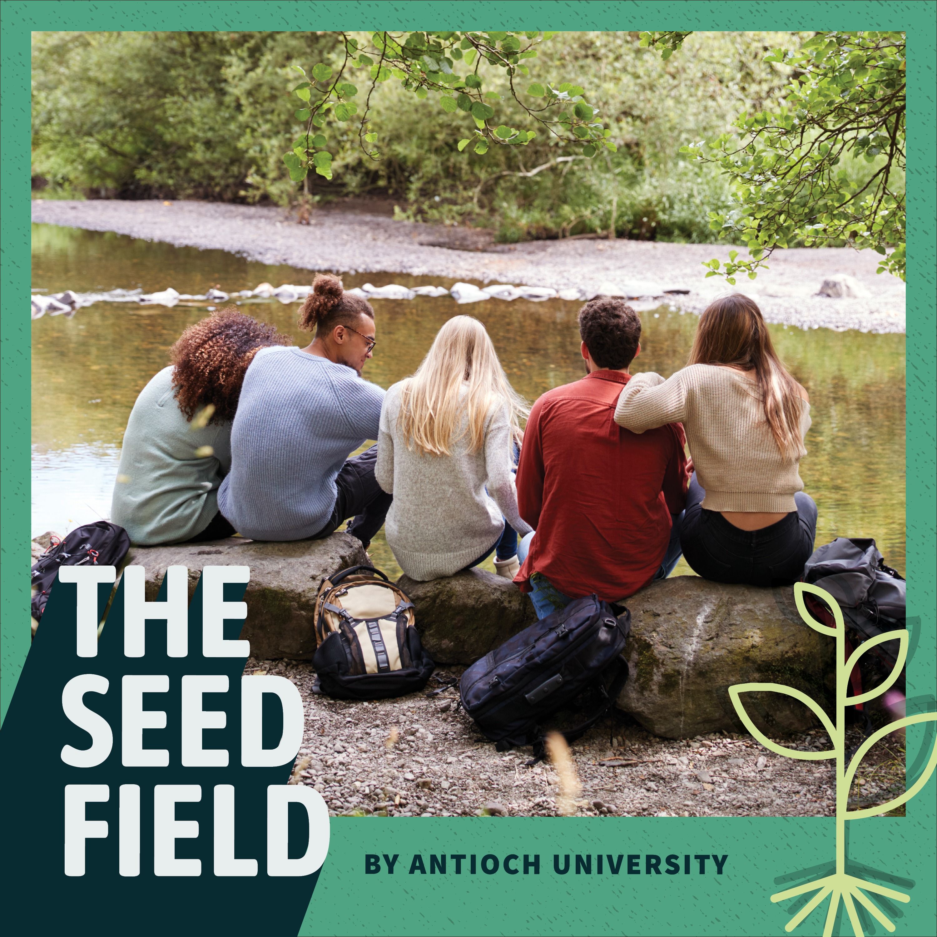 The Seed Field