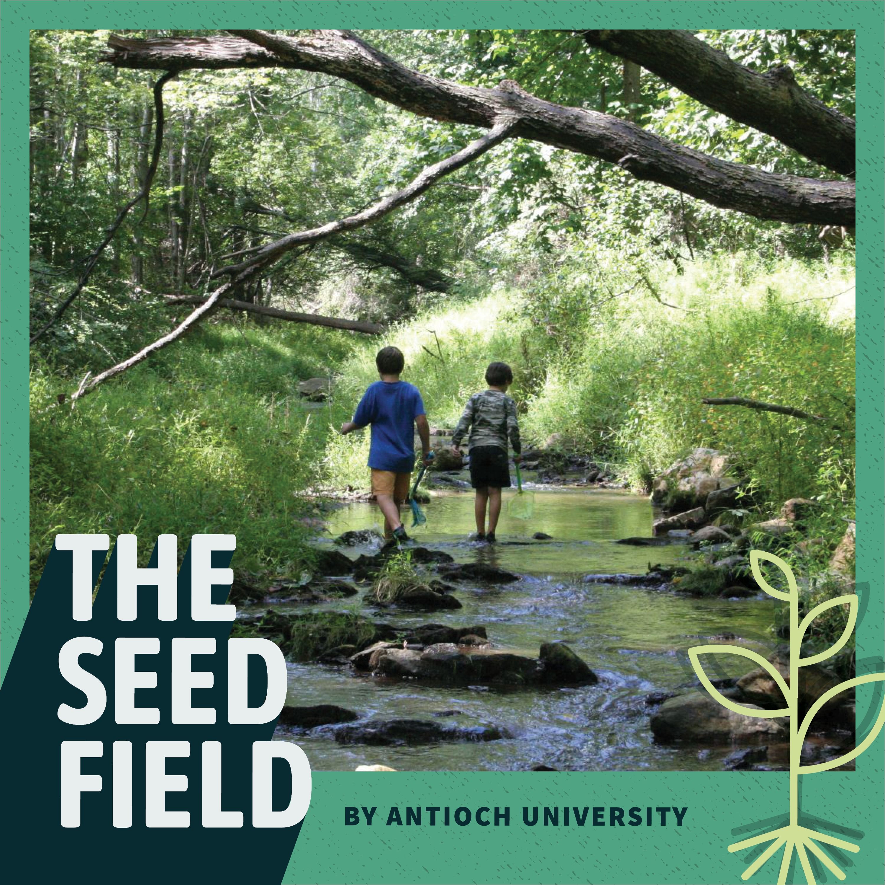 The Seed Field