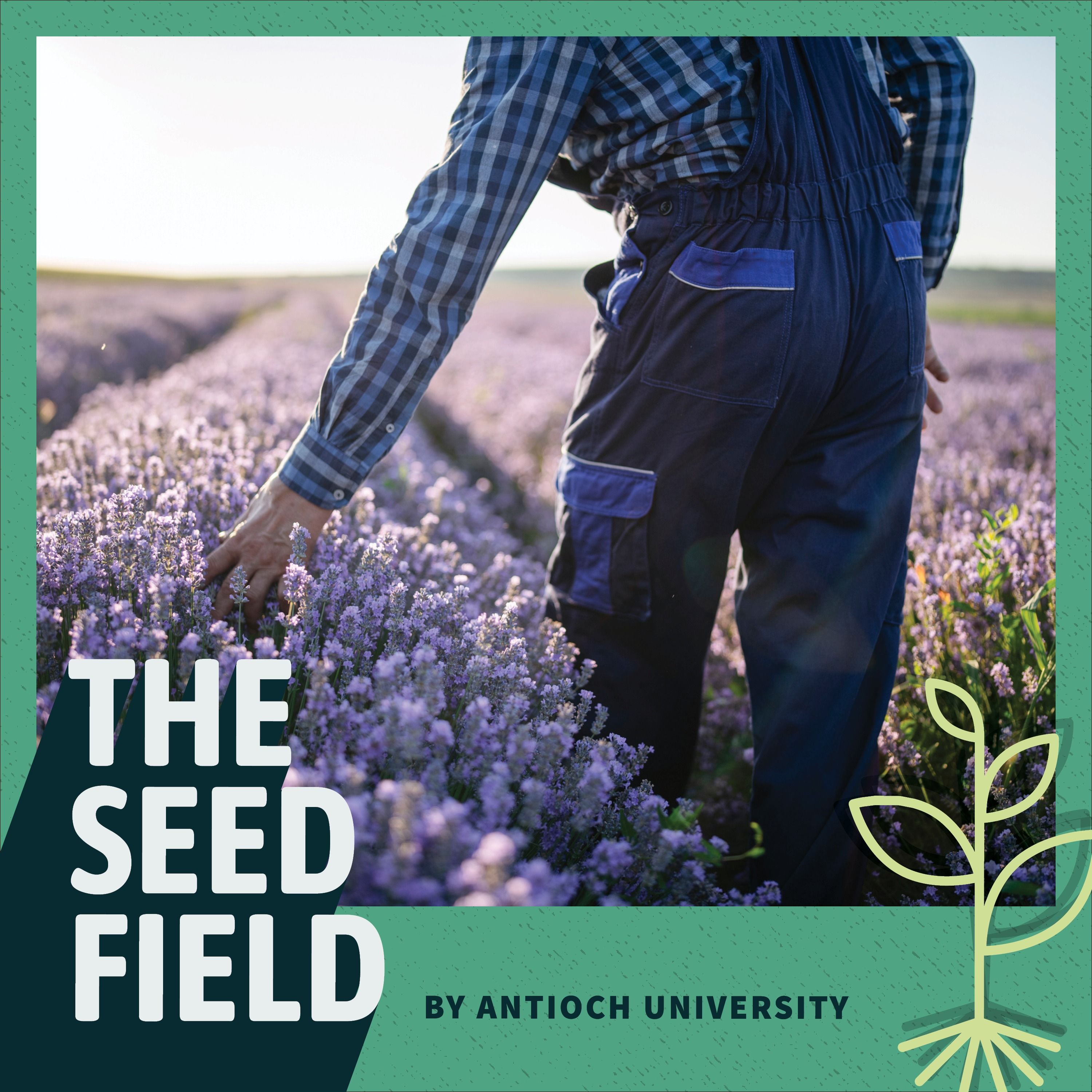 The Seed Field