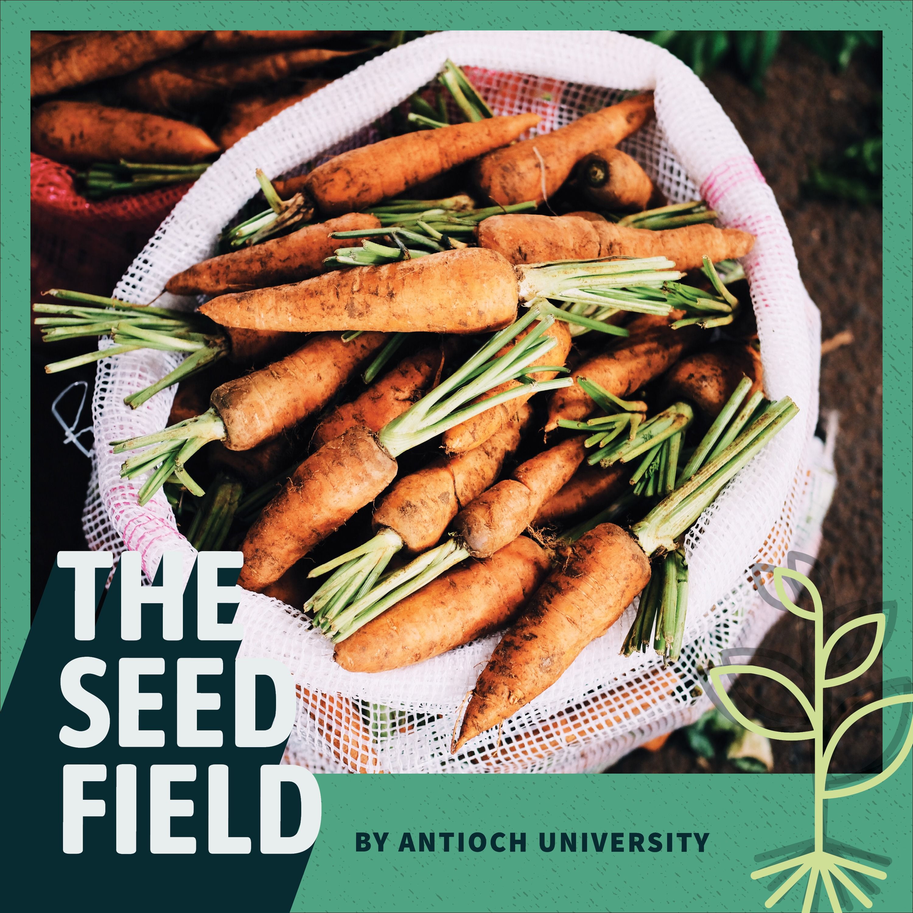 The Seed Field