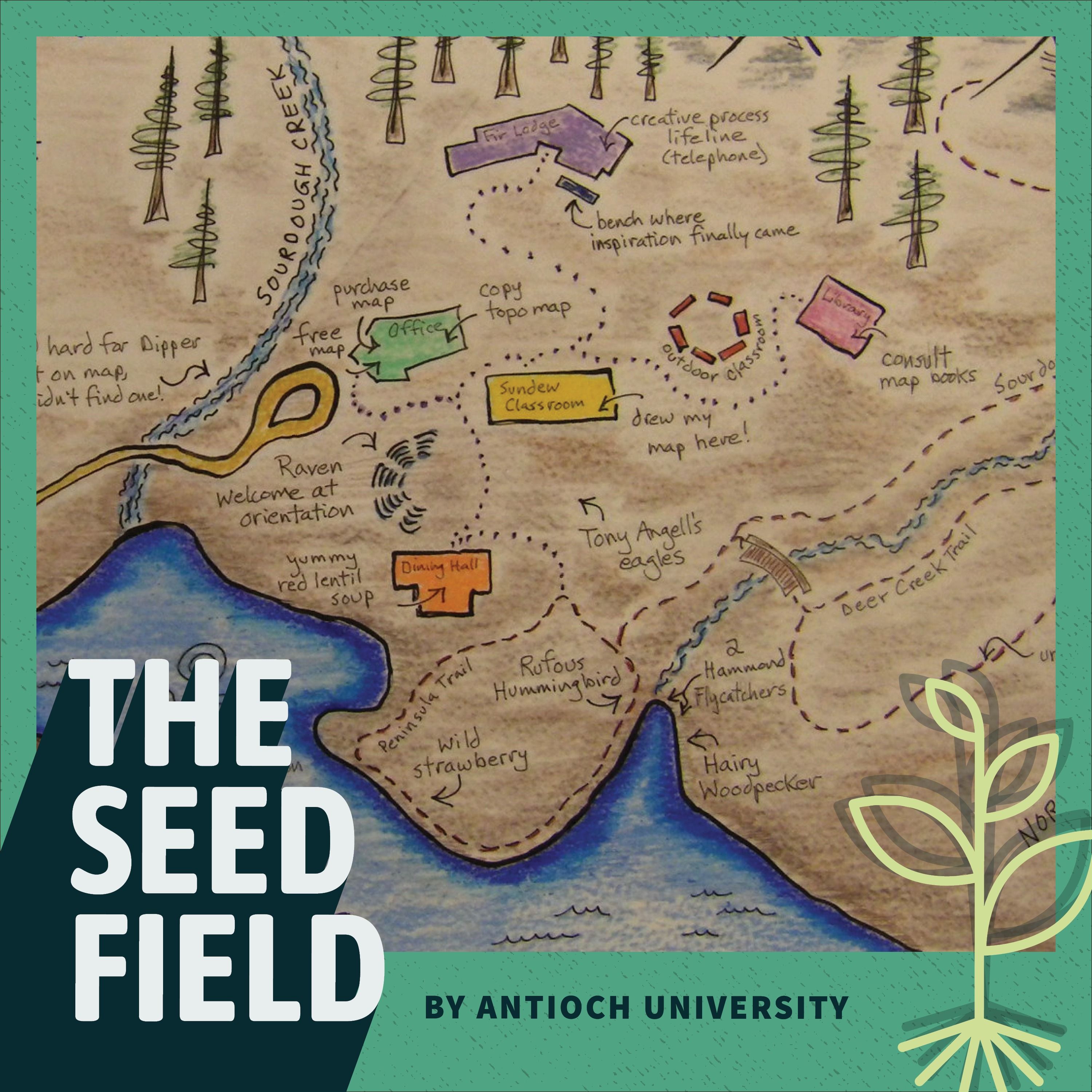 The Seed Field