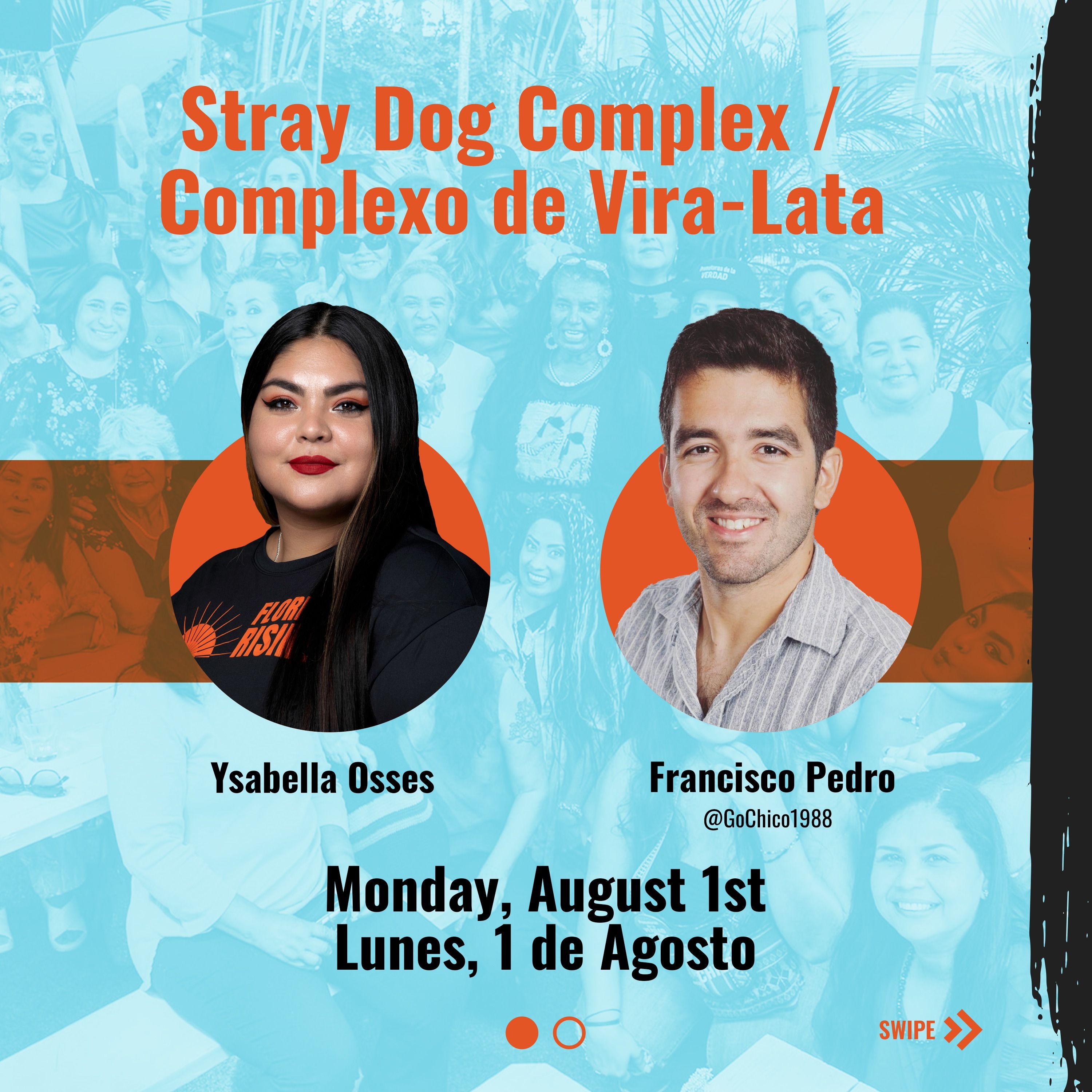 Stray Dog Complex / Complexo De Vira-Lata