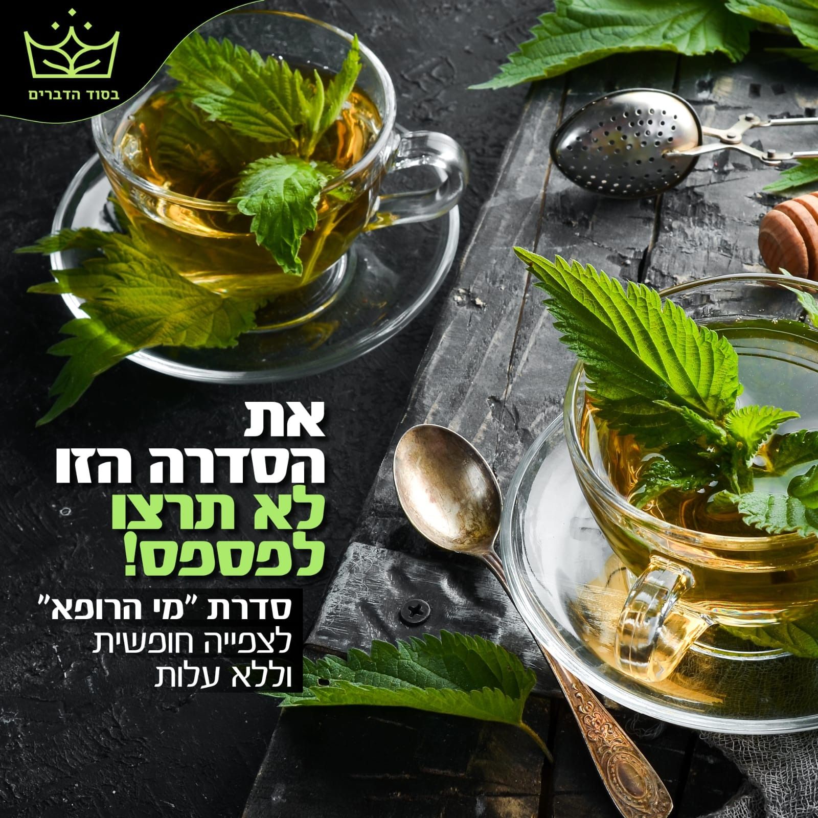 שיעור רביעי בסדנת מי הרופא - פתוח לכולם 💚 episode artwork