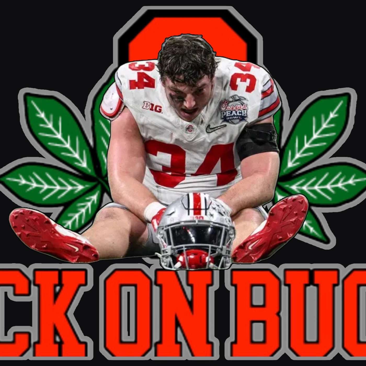 I'll feel cheated if OHIO STATE-GEORGIA doesn't happen again. episode artwork