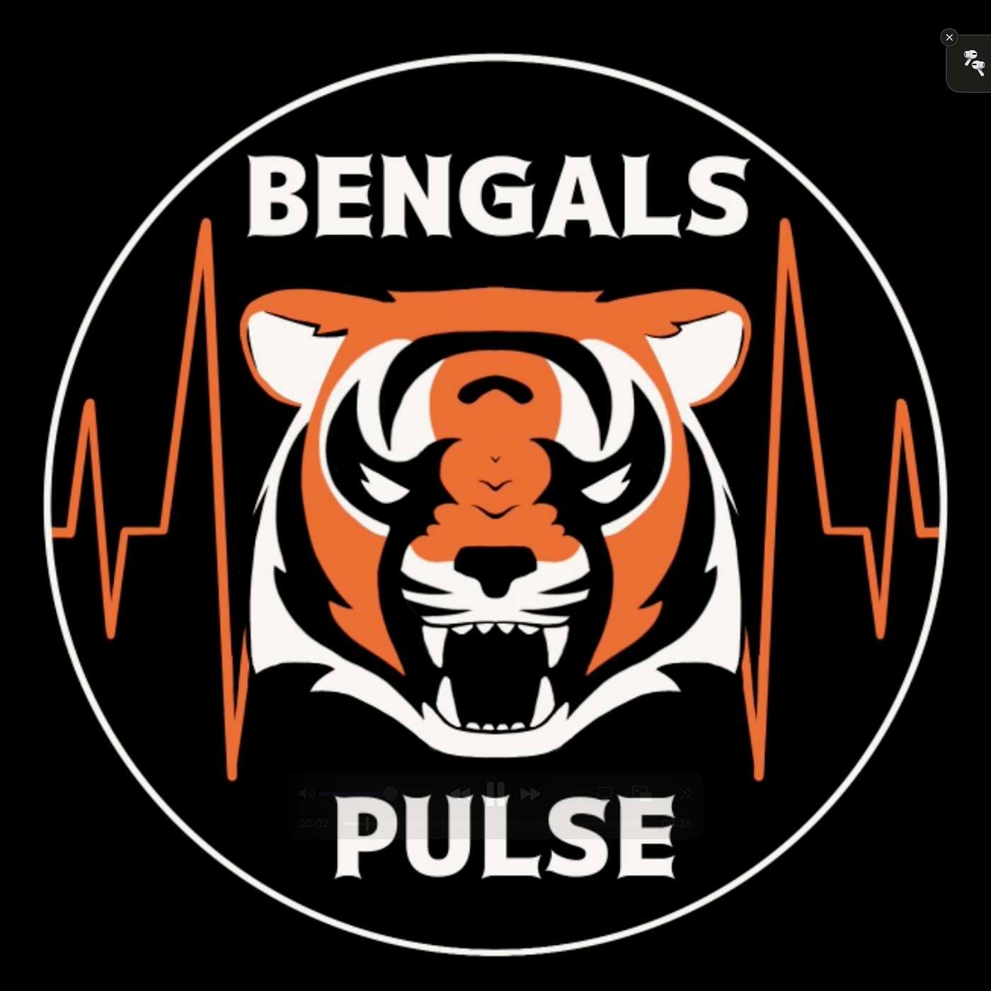 The Bengals Pulse Live!!! episode artwork