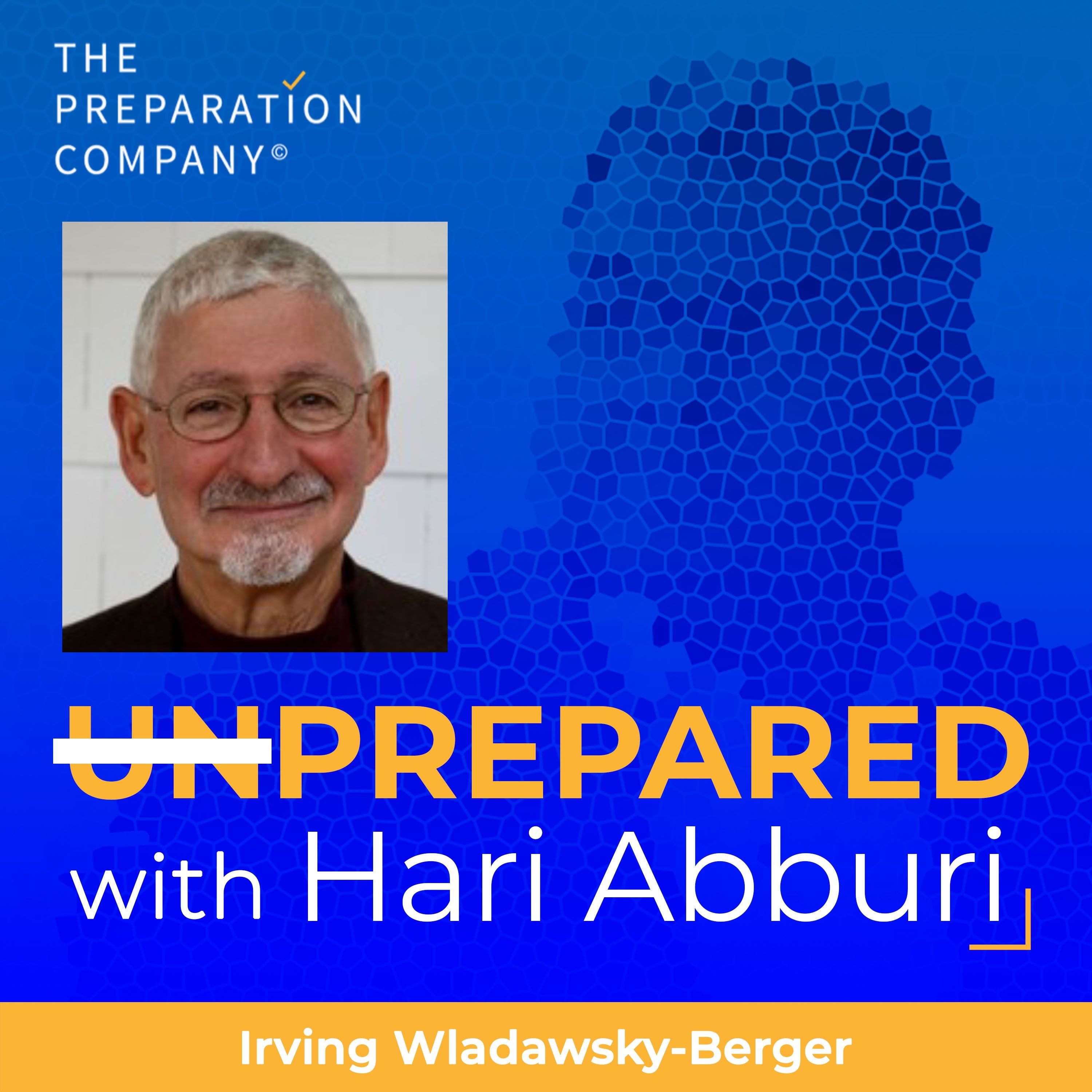 Ep 05: Irving Wladawsky-Berger on Ai, Intangible Investments and Imagination