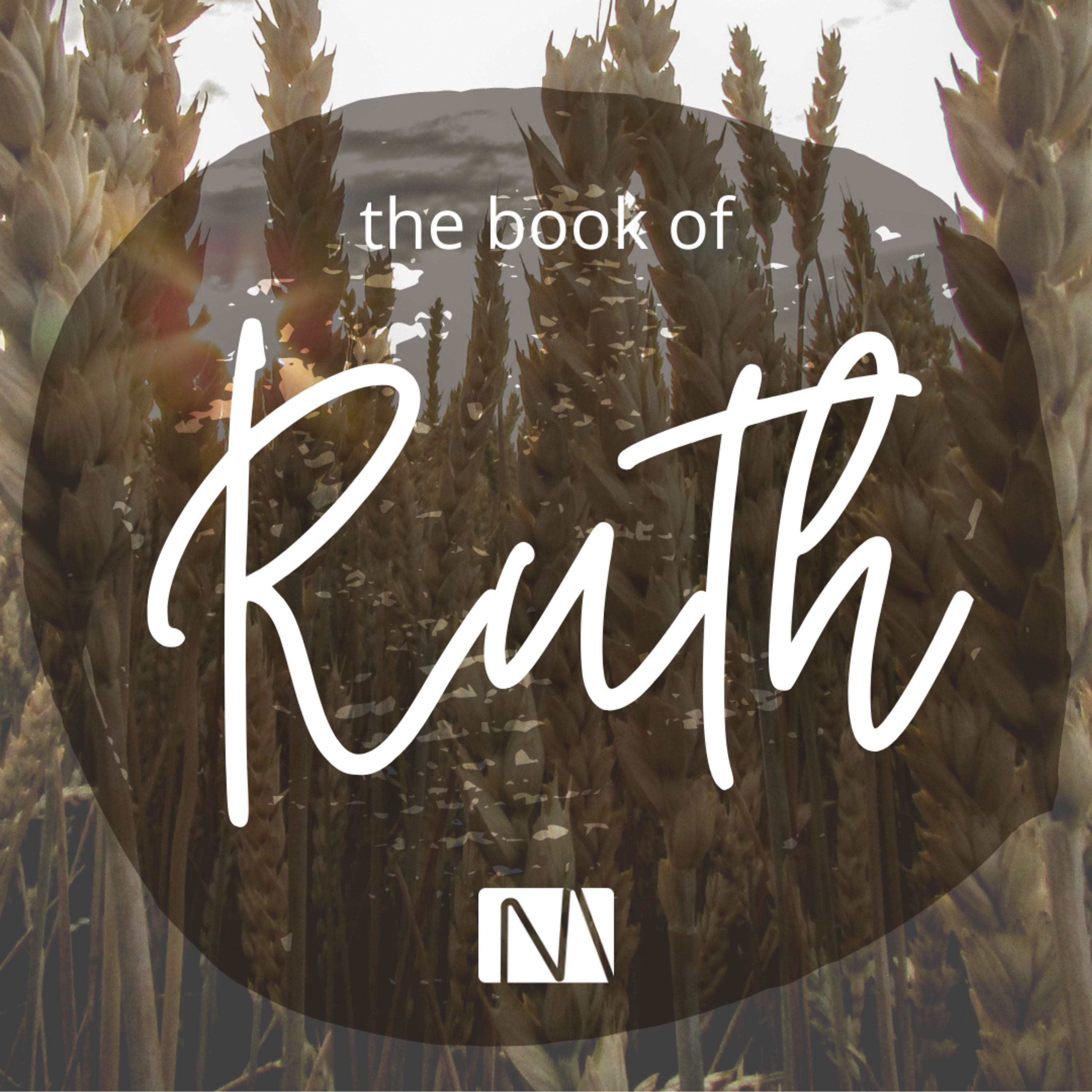 The Book of Ruth | God's Providence + Human Faithfulness (Ruth 2:1-20) episode artwork