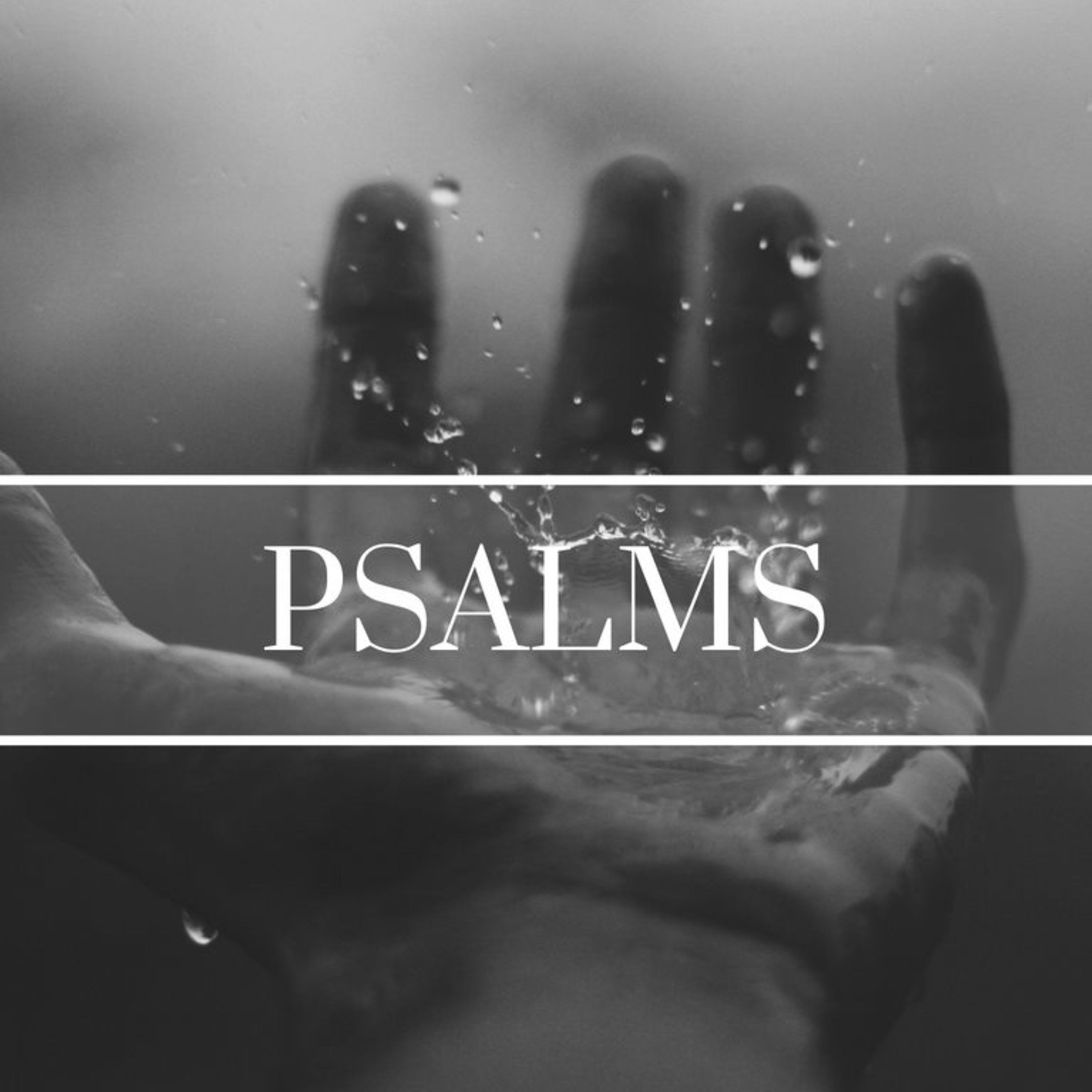 Experiencing the Presence of God | Psalm 27 episode artwork