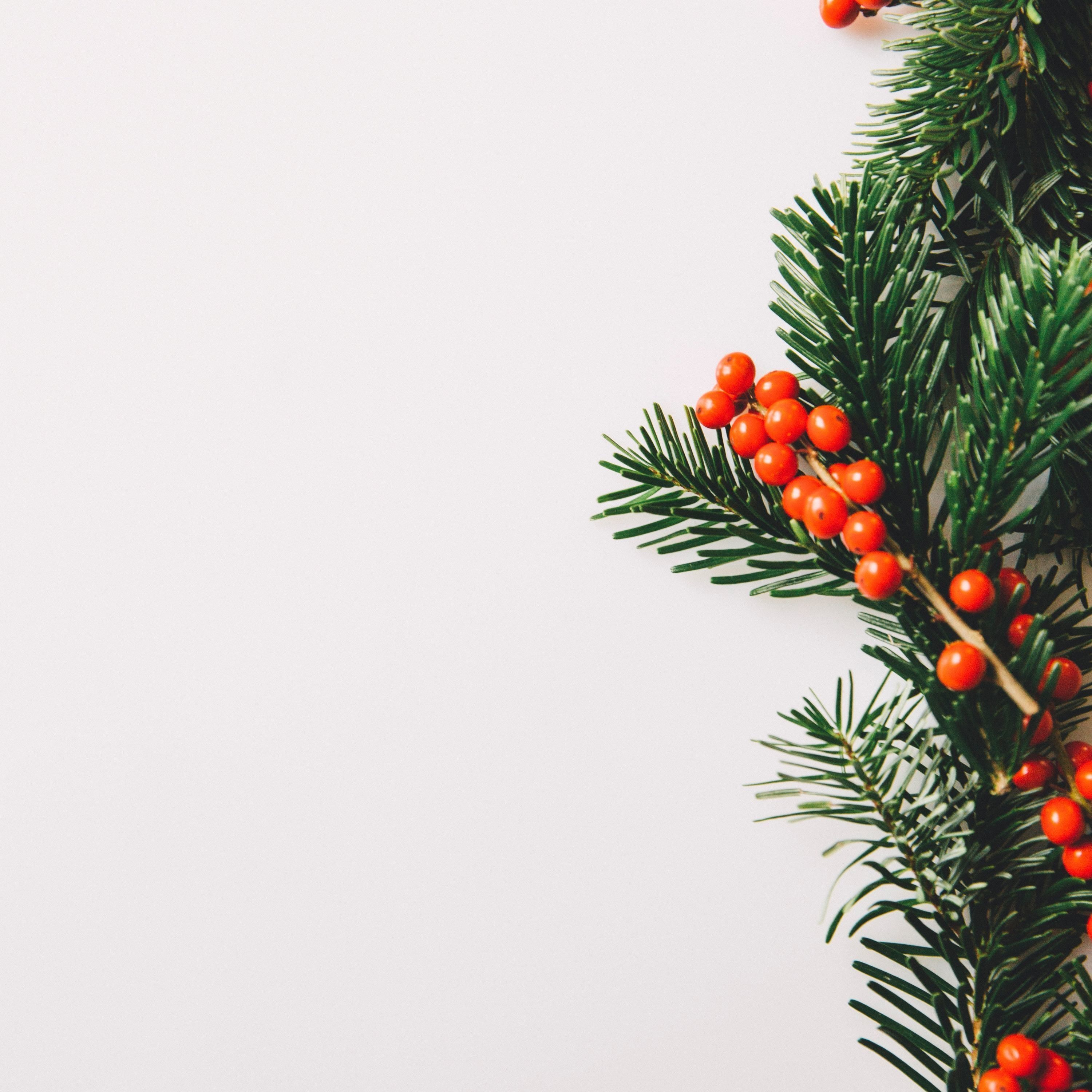 Christmas Service | Why the Wisemen (Matthew 1:21-2:2)