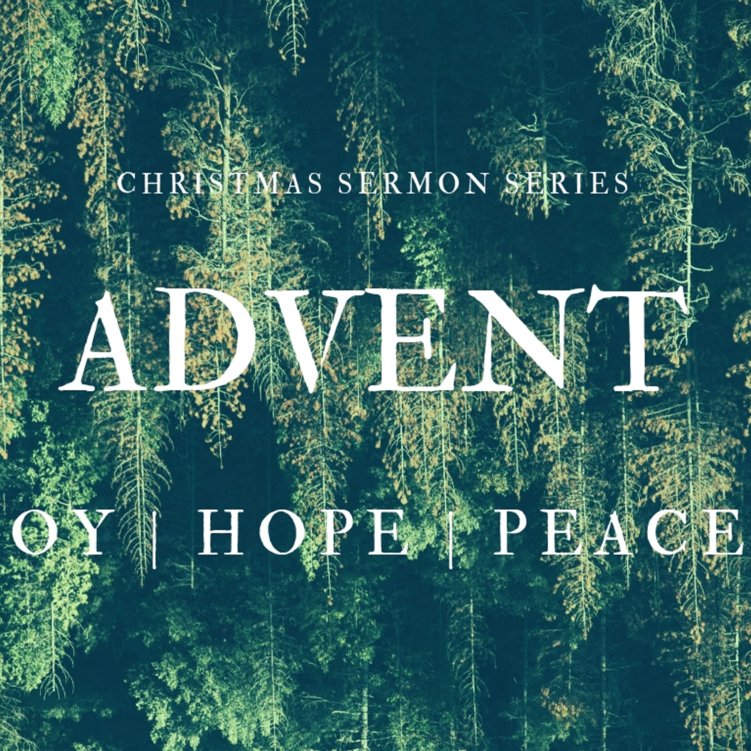 Advent | Joy