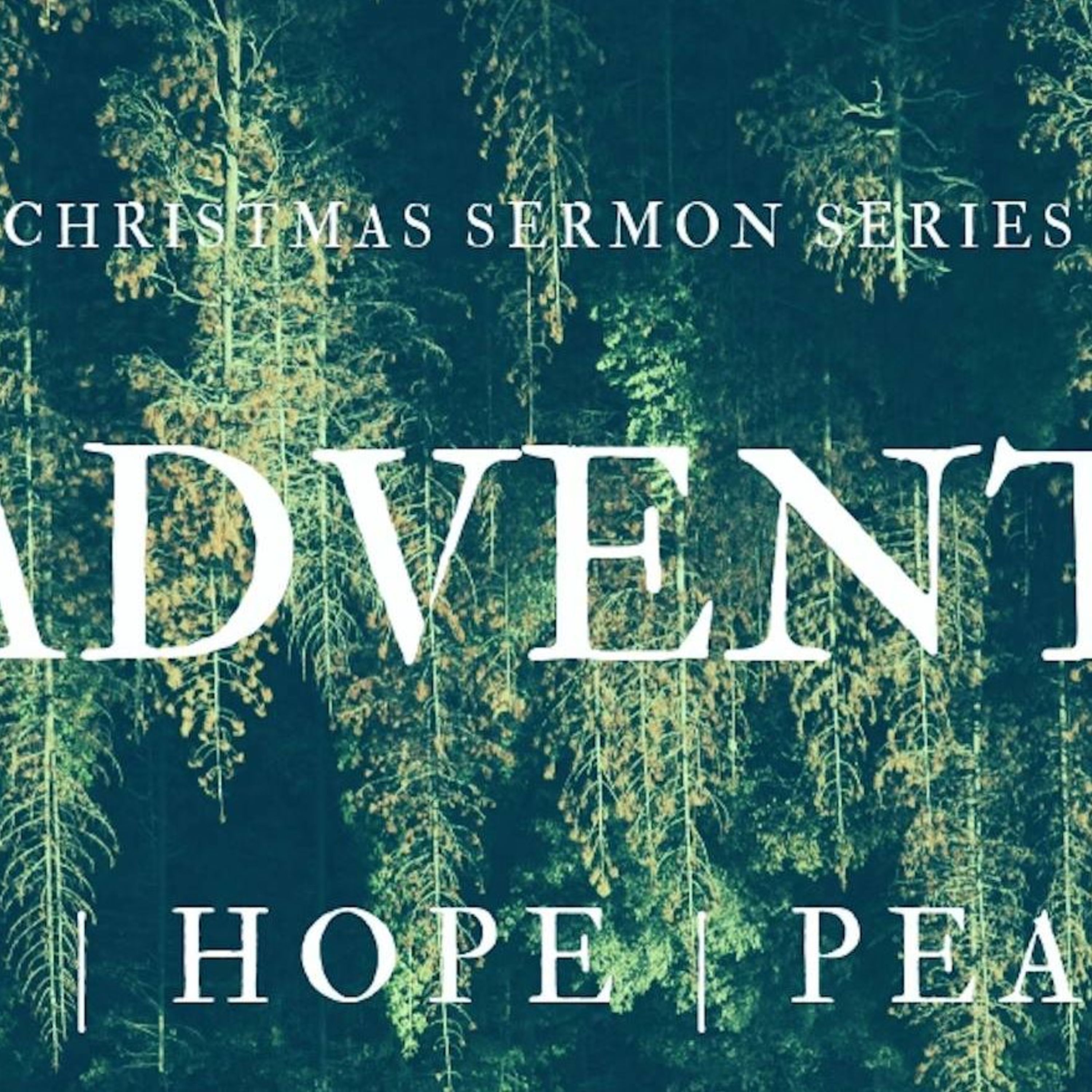 Advent | Peace