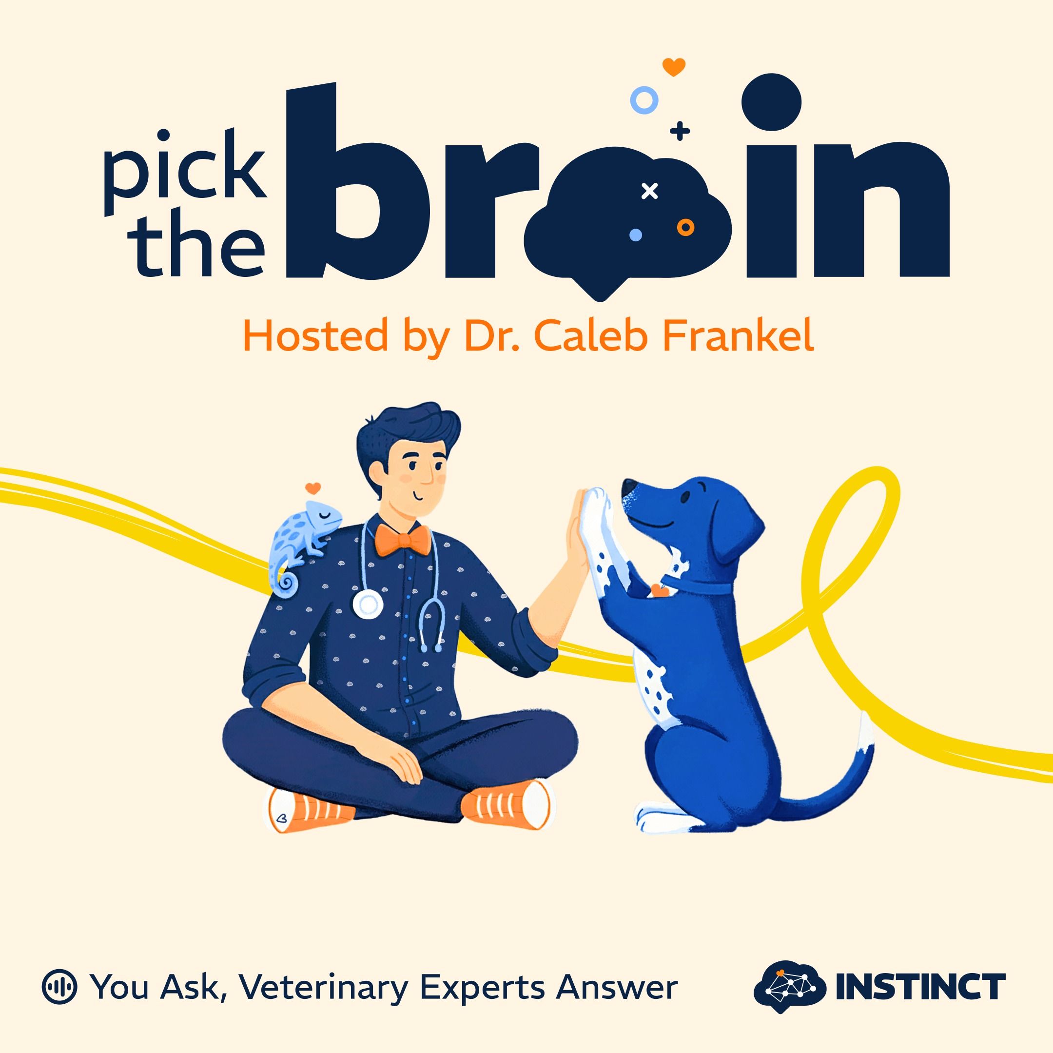 Instinct Pick the Brain Podcast cover