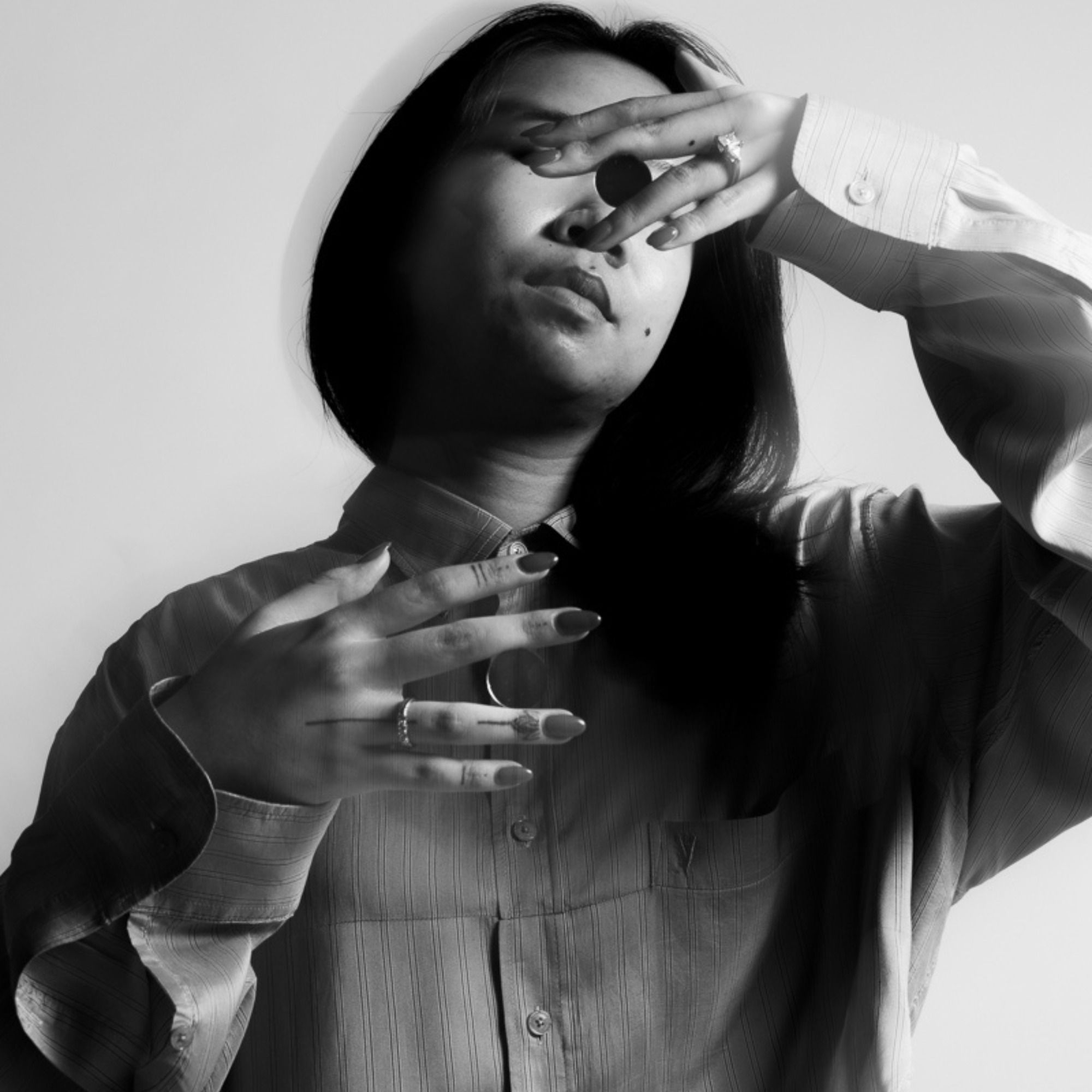 The Lighthearted Jester The Lighthearted Jester