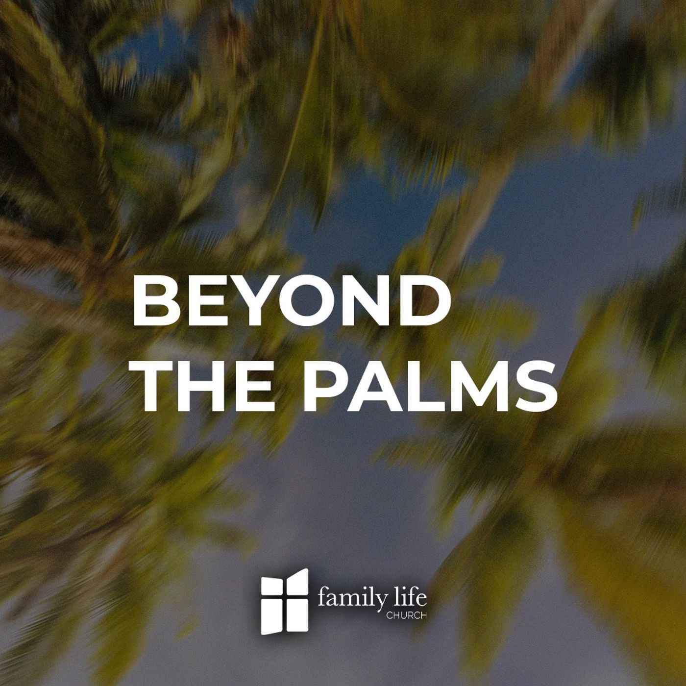Beyond The Palms episode artwork