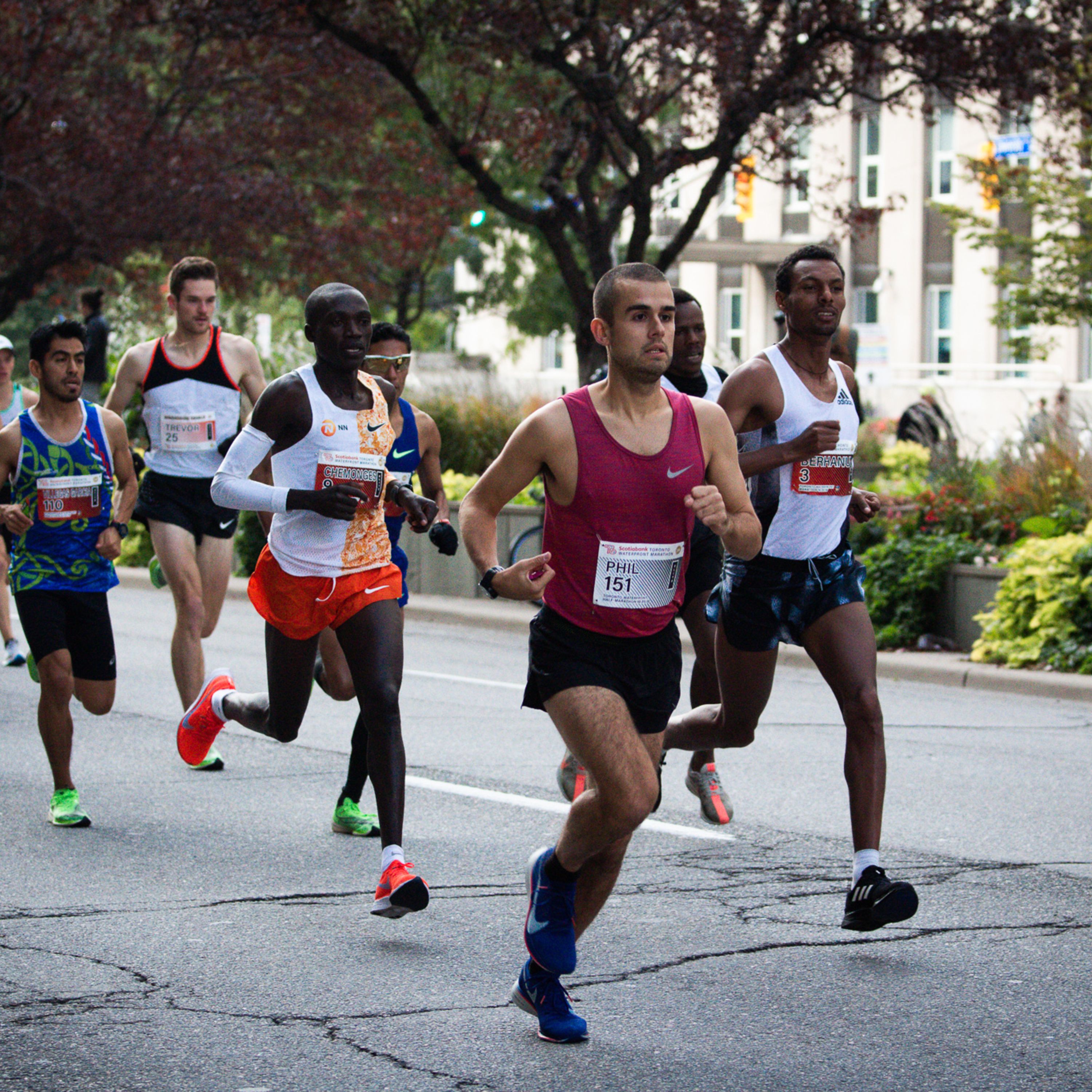 The Shakeout Podcast