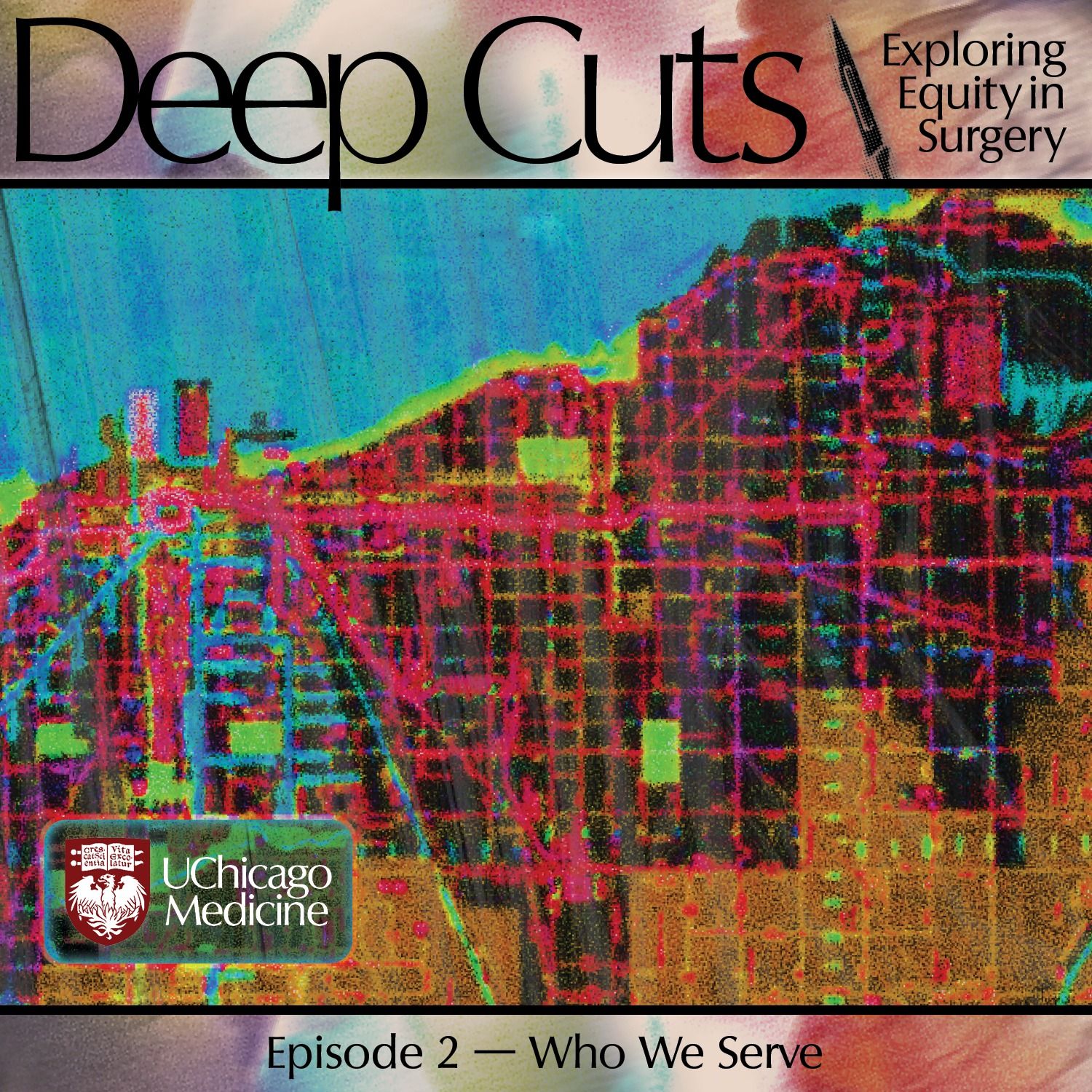 Deep Cuts: Exploring Equity in Surgery