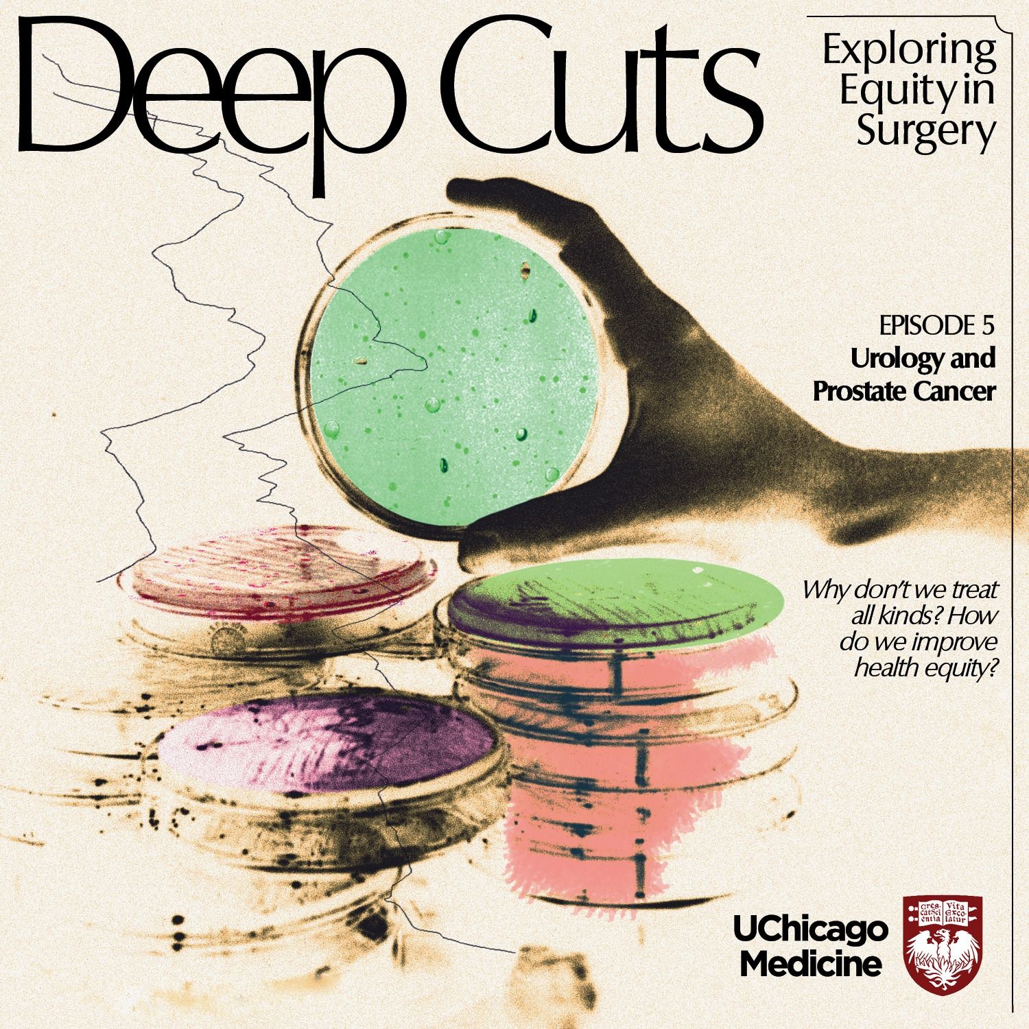 Deep Cuts: Exploring Equity in Surgery
