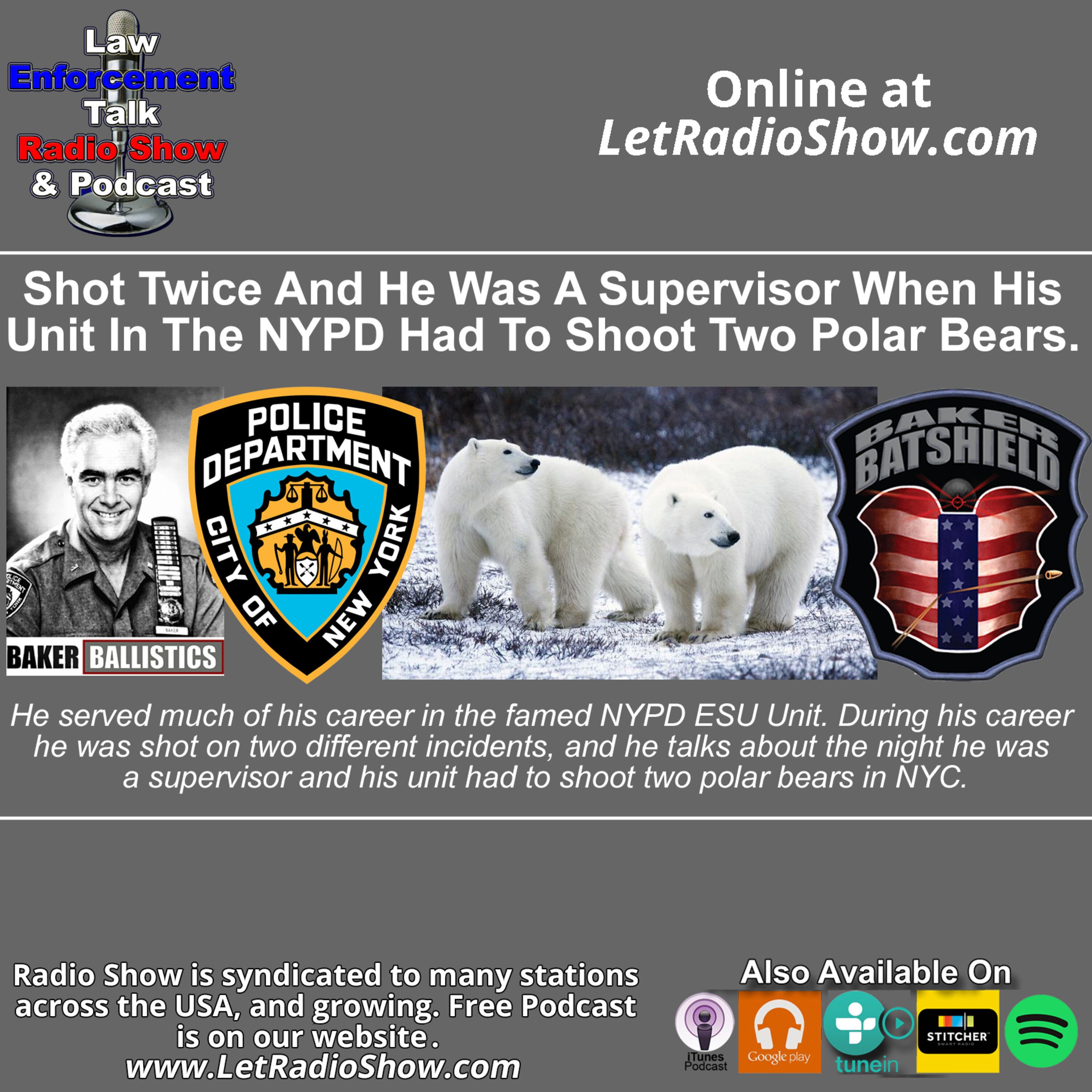 Shot Twice And Police Officer's Unit Shot Polar Bears. Shot Twice And Police Officer's Unit Shot Polar Bears.
