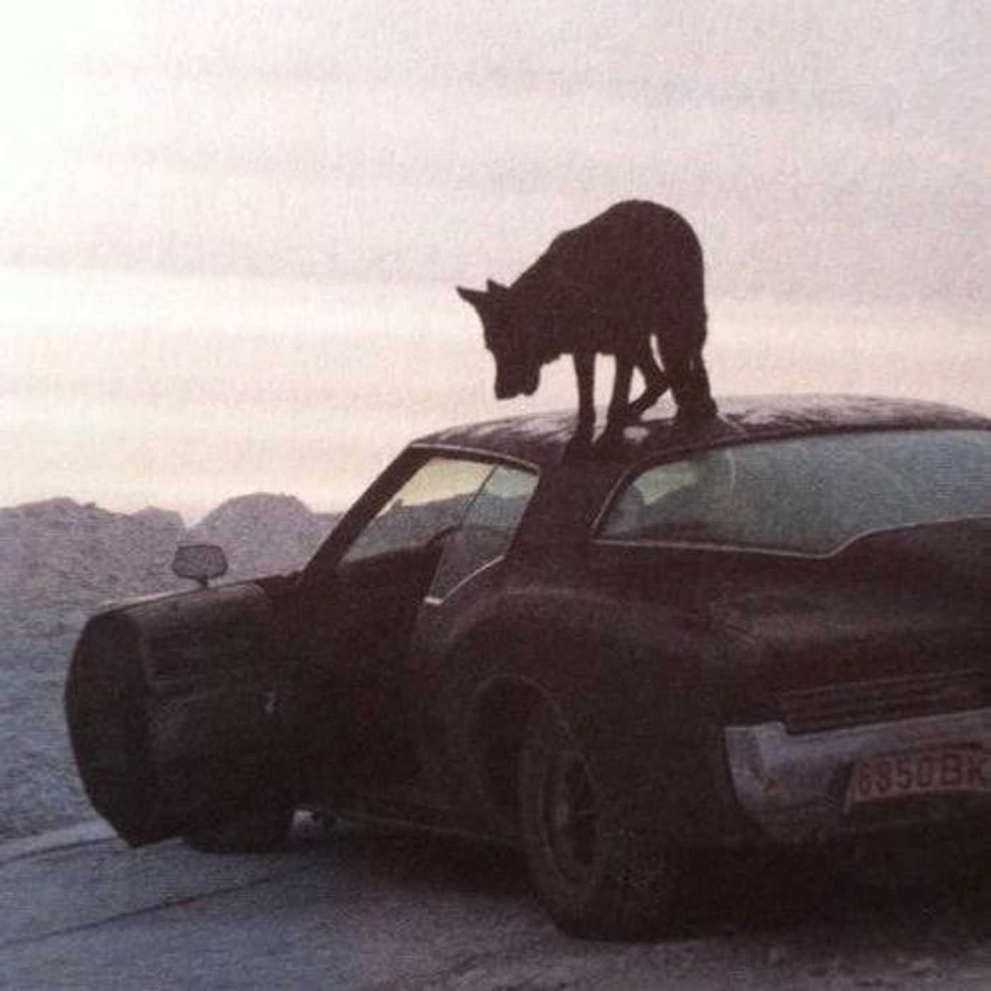 Don't Mind the Gnarl