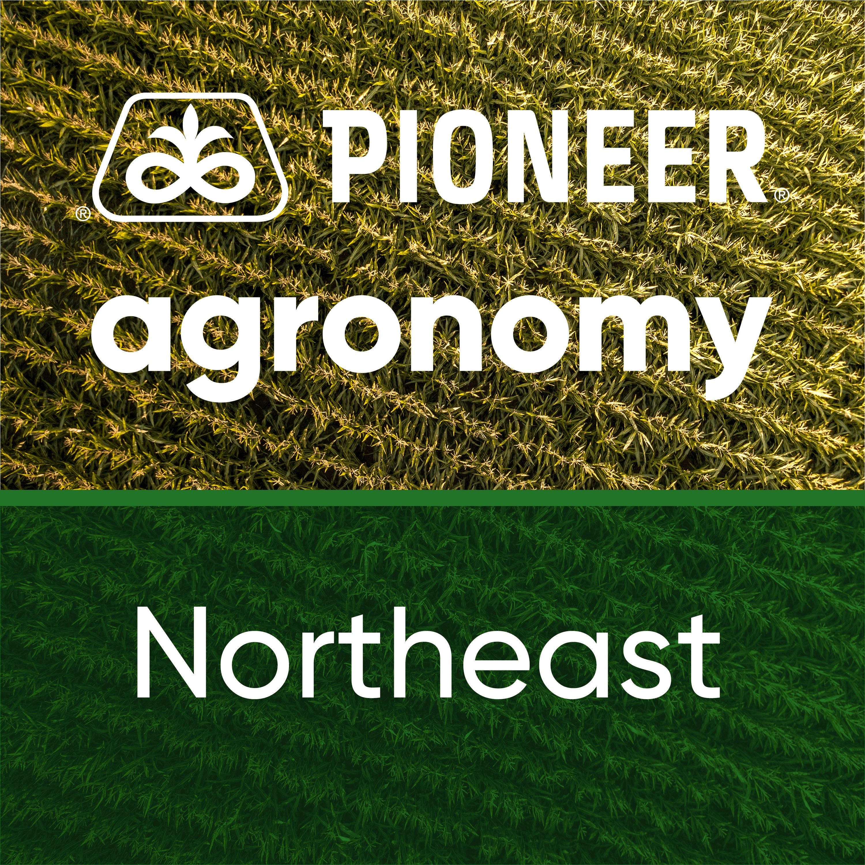 Pioneer® Seeds | United States
