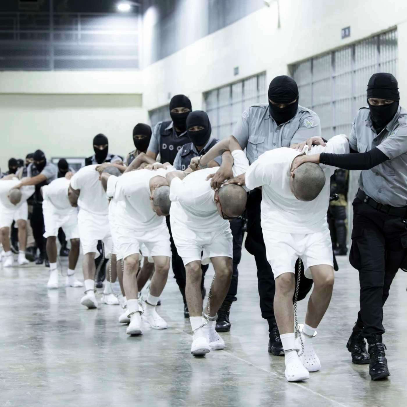 21. Trump Sends (Alleged) Gang To Salvador "Prison Colony" episode artwork