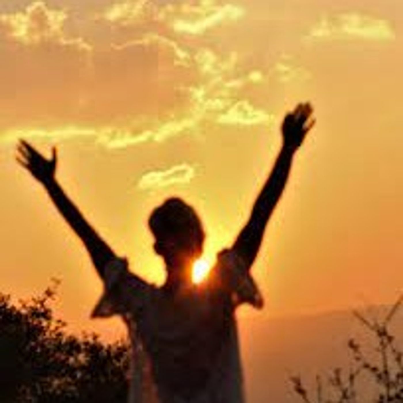 Experience Newness