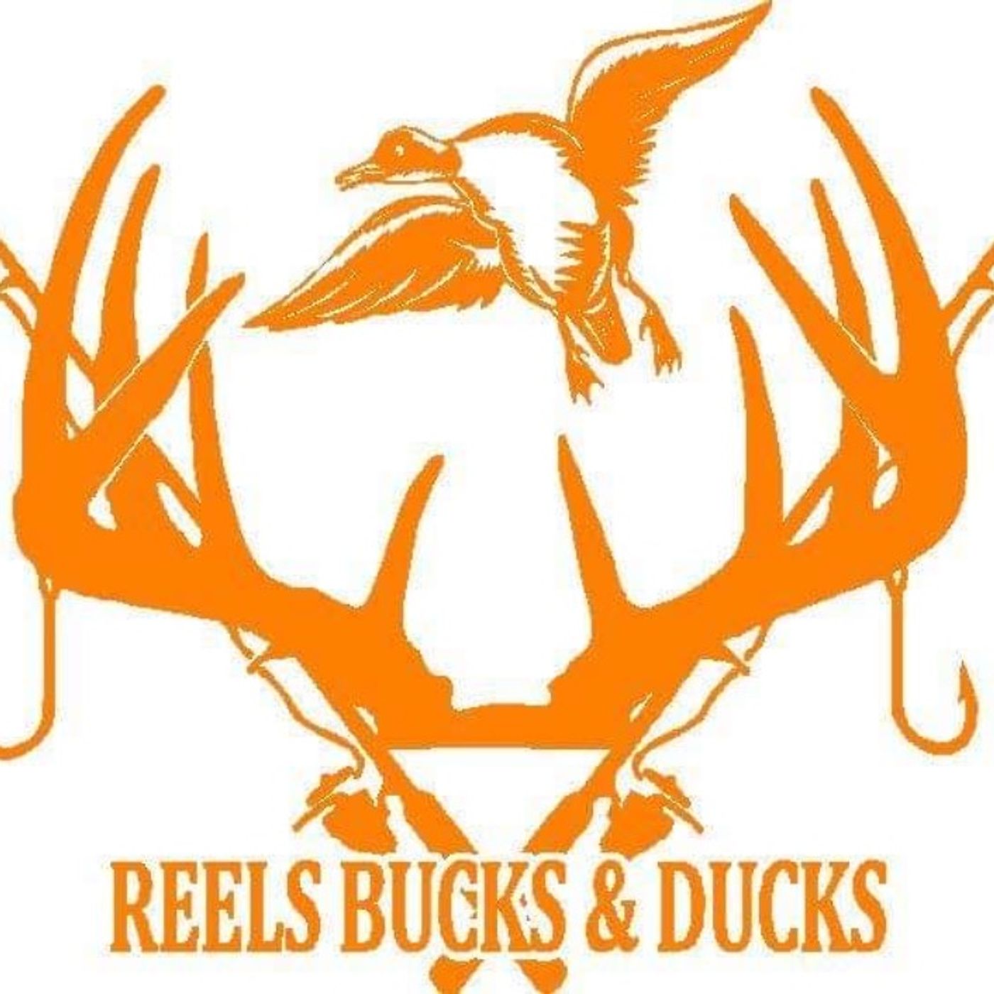 Reels Bucks and Ducks