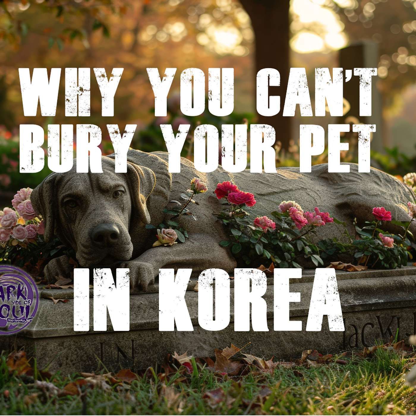 Why You Can't Bury Your Pet in Korea