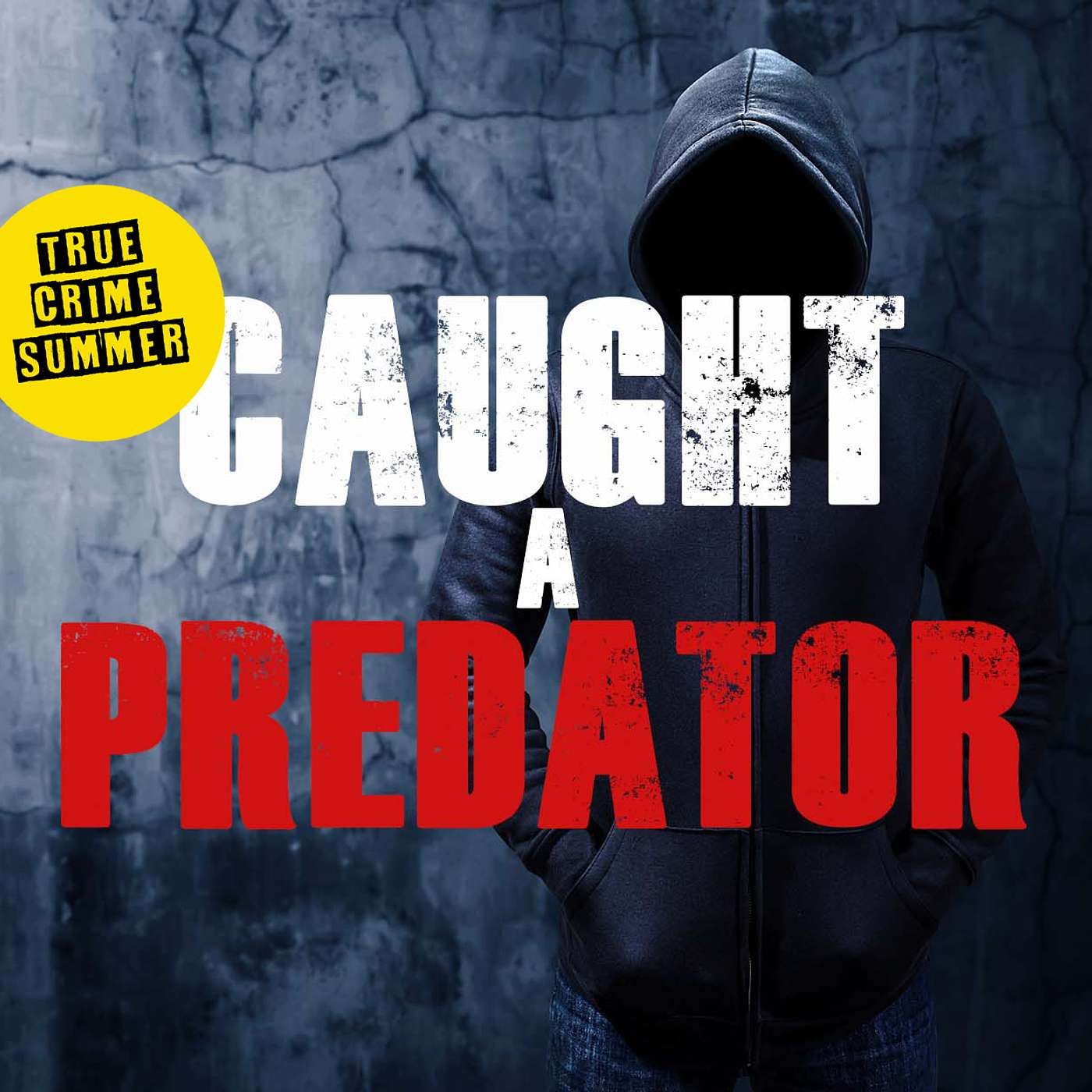 True Crime Summer: Caught a Predator