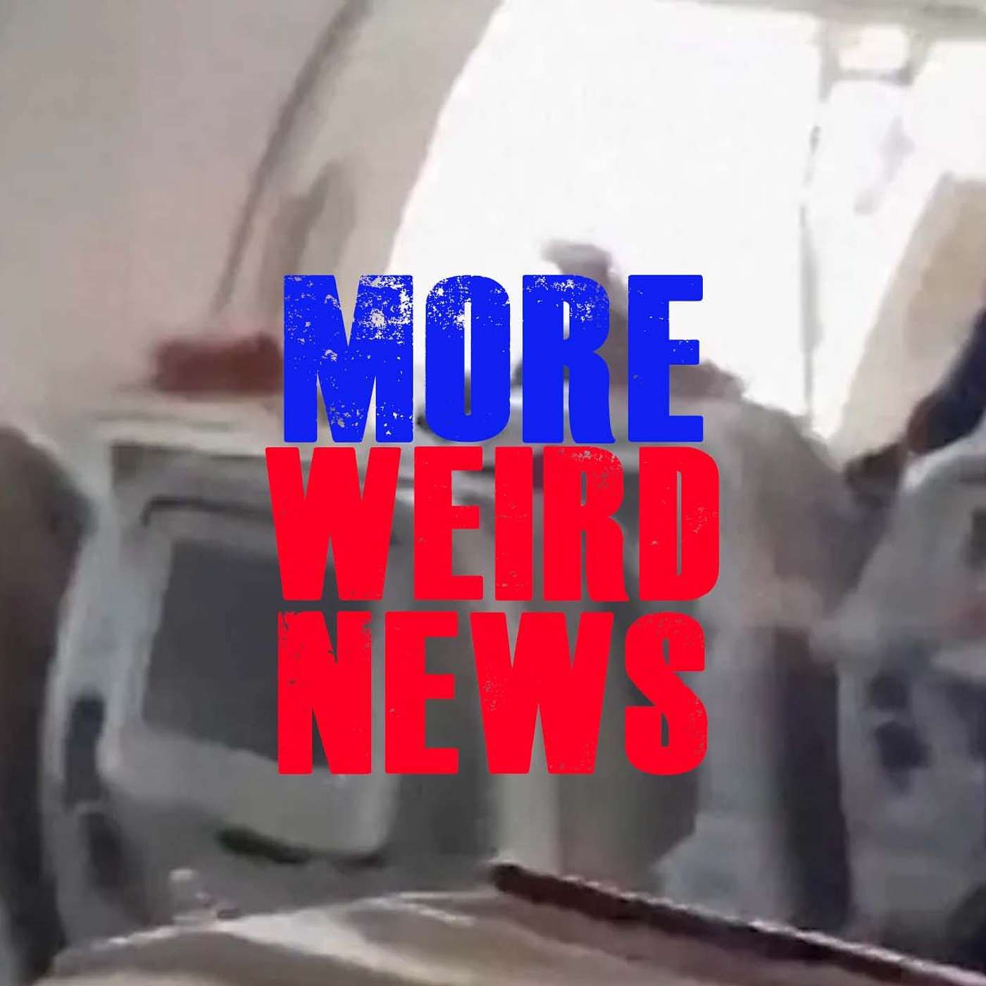 More Weird News