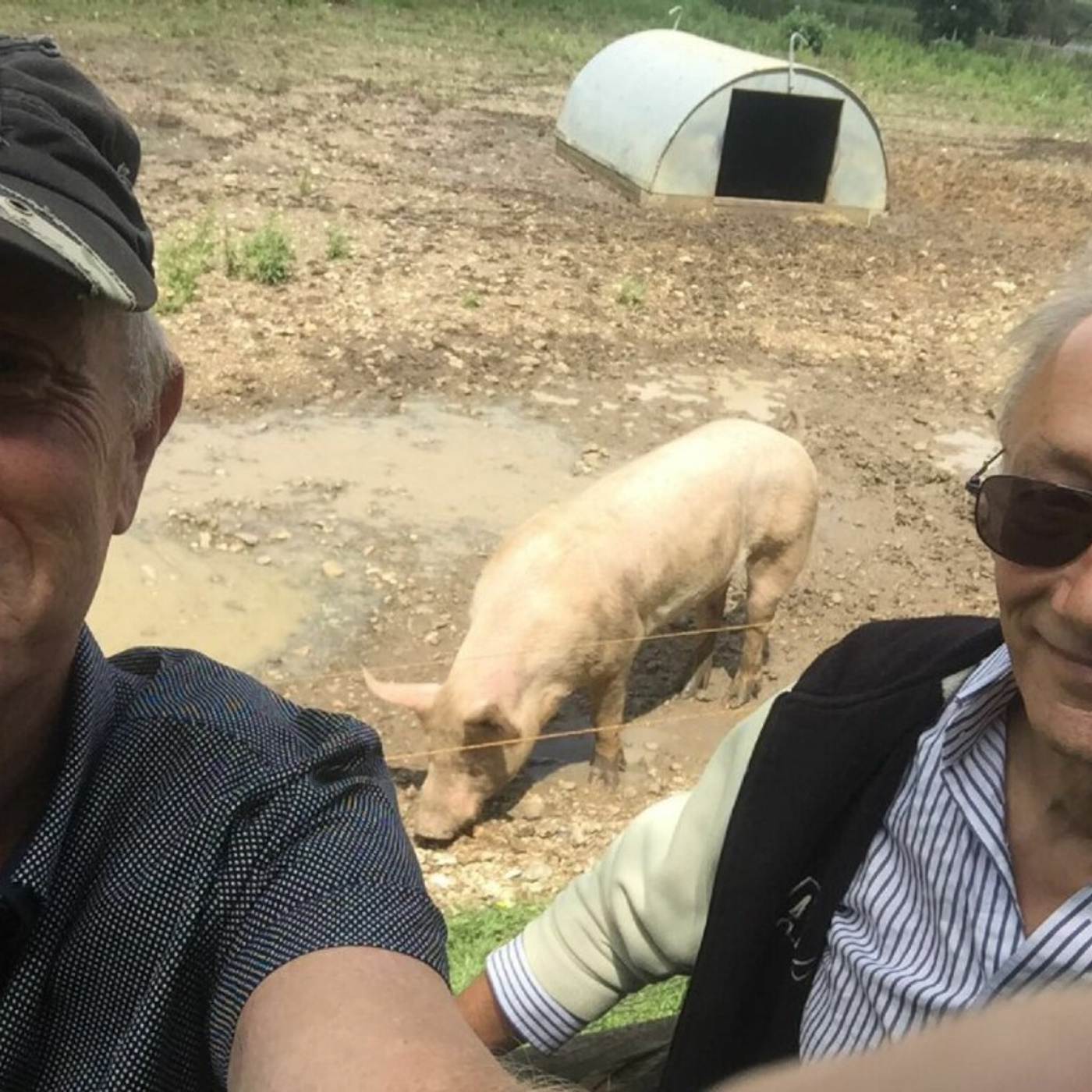Insane ramblings of crazy old men 4
