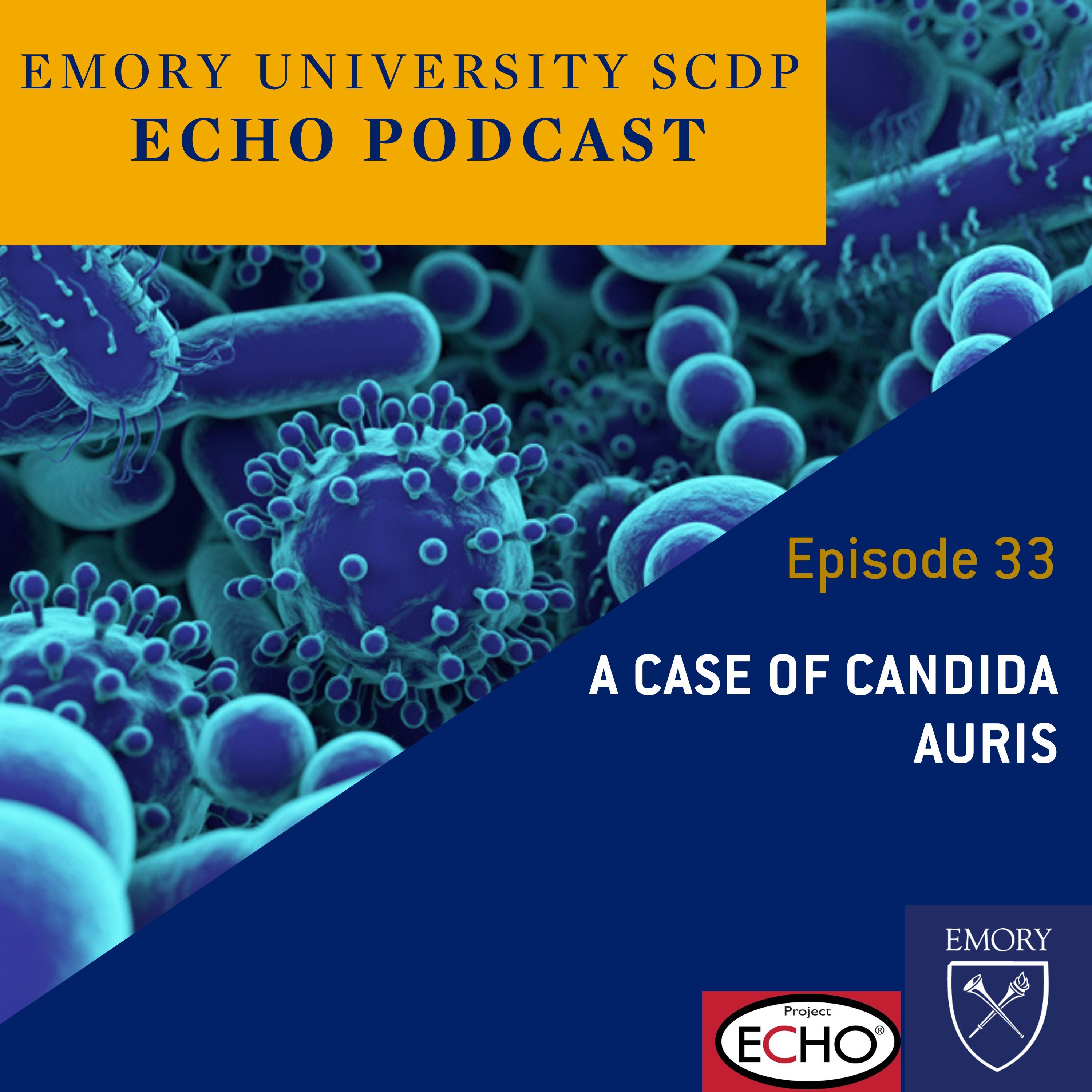 A Case of Candida Auris