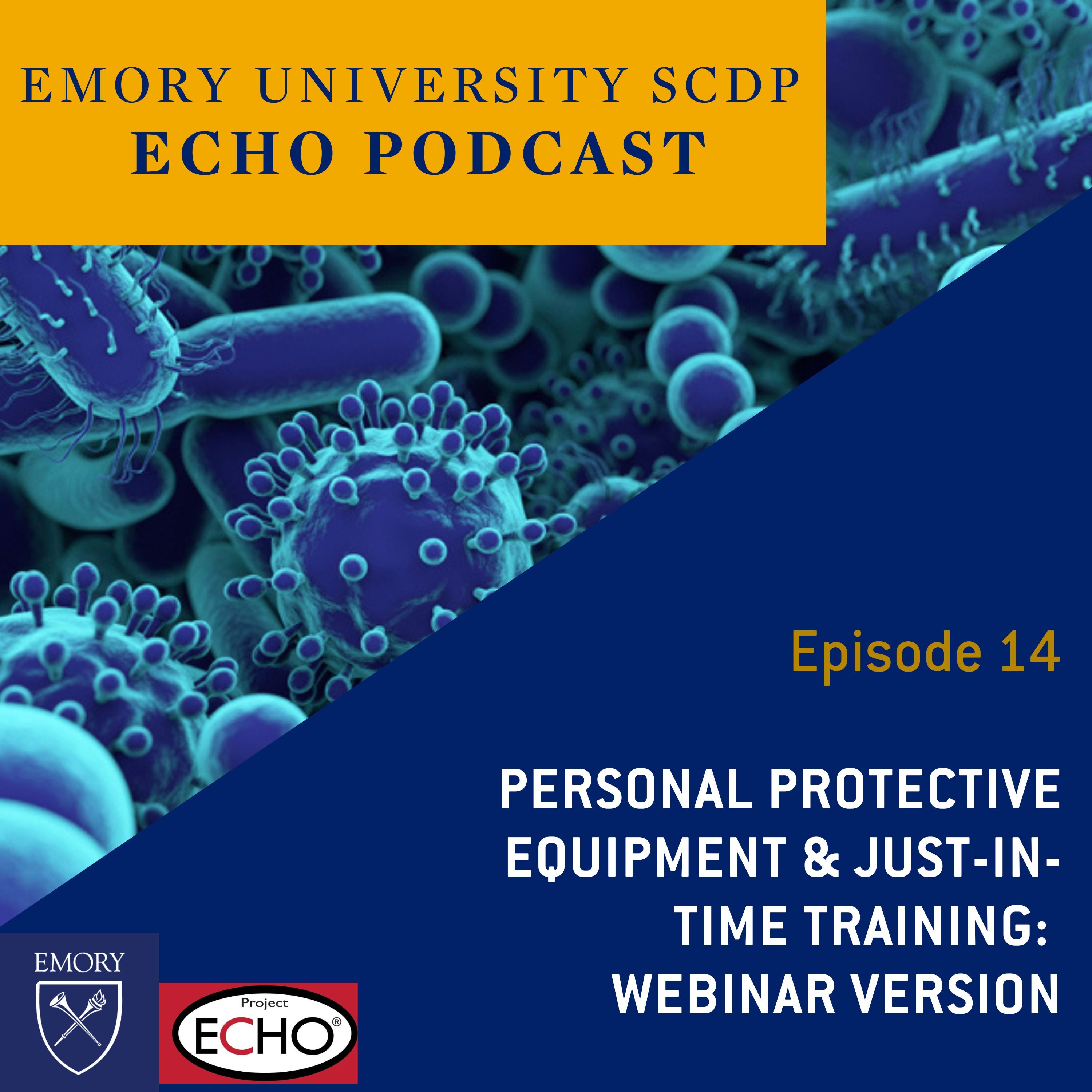 Personal Protective Equipment and Just-in-Time Training - Webinar Version