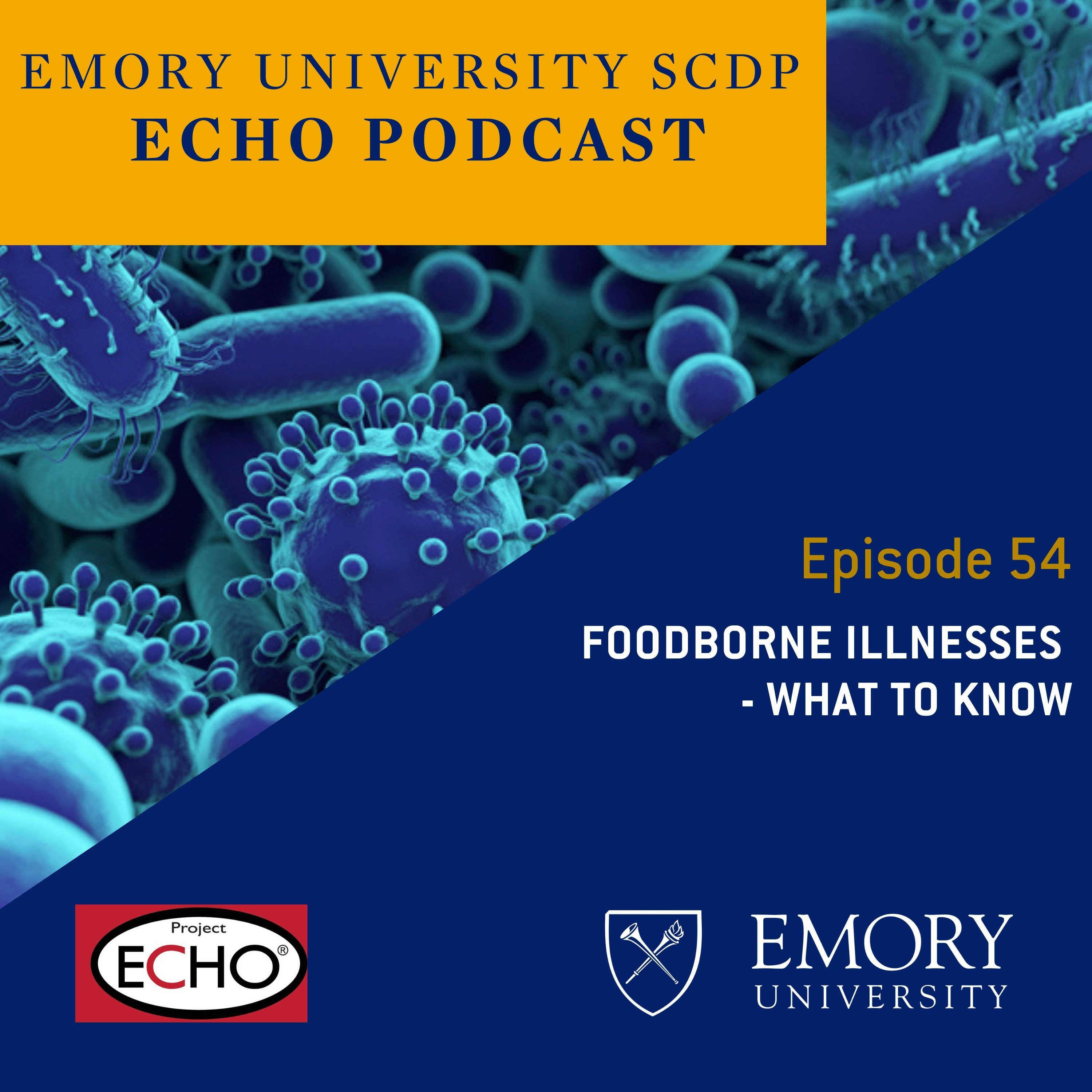 Foodborne Illnesses - What to know episode artwork