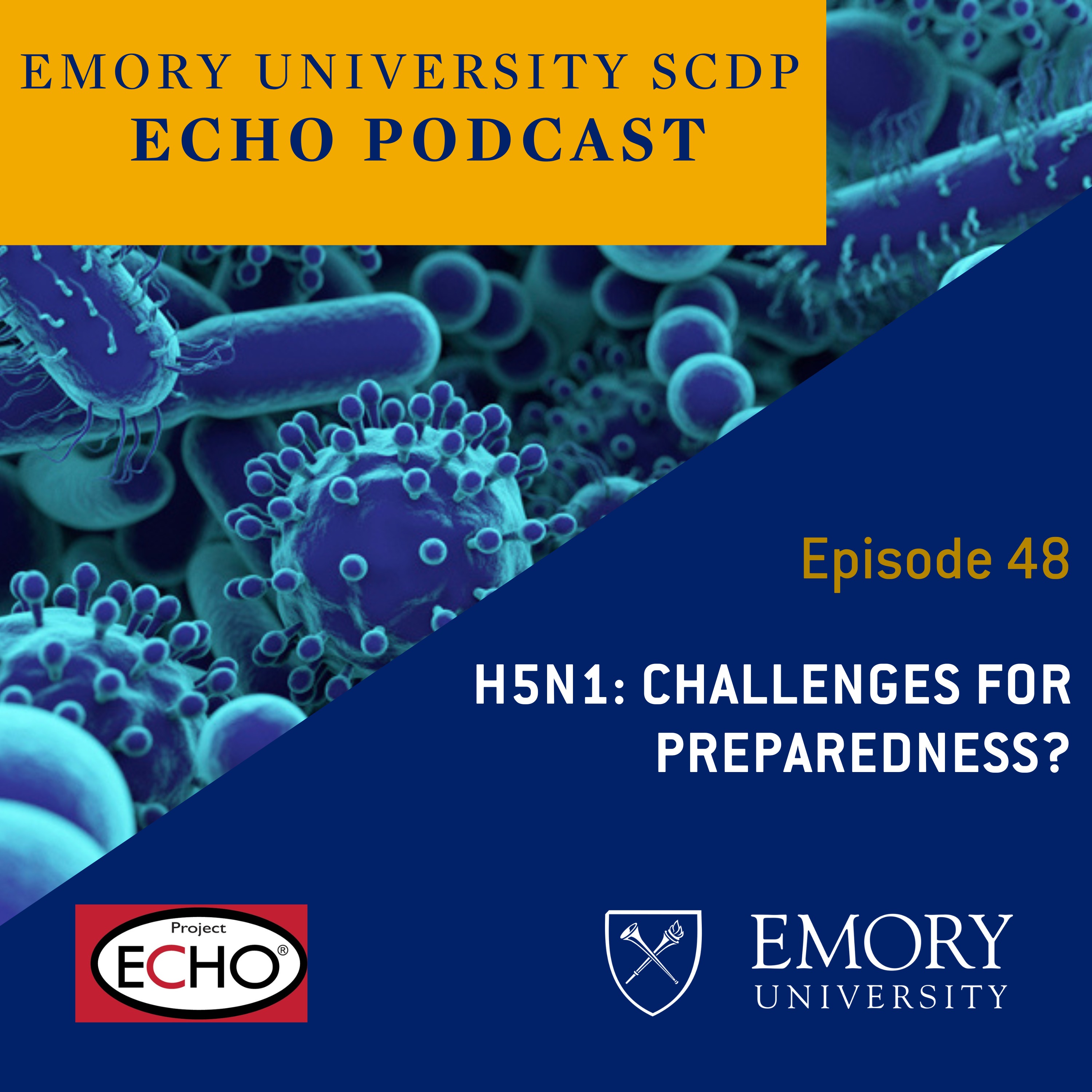 Scdp Learning SCDP ECHO Podcast