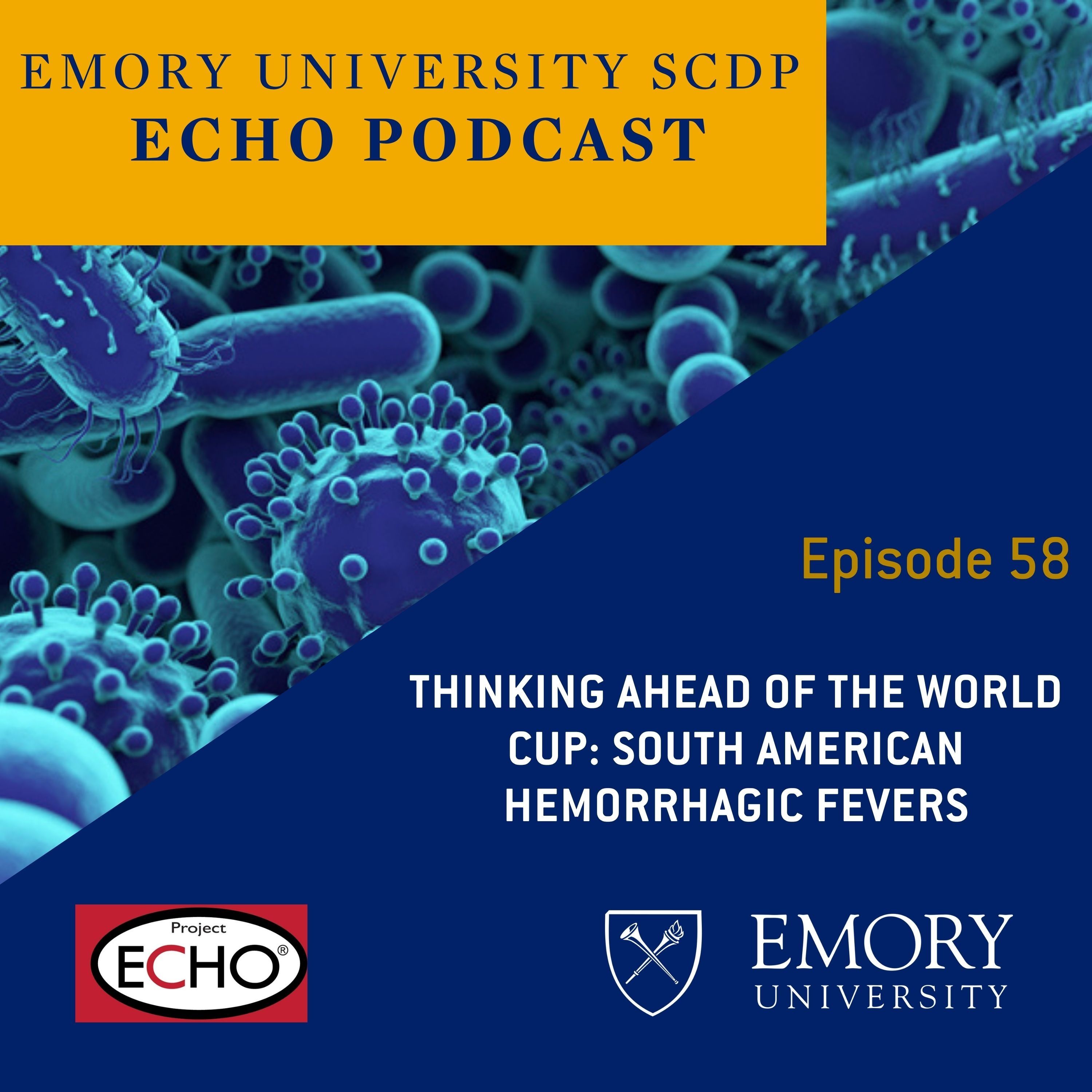 Thinking Ahead of the World Cup: South American Hemorrhagic Fevers episode artwork