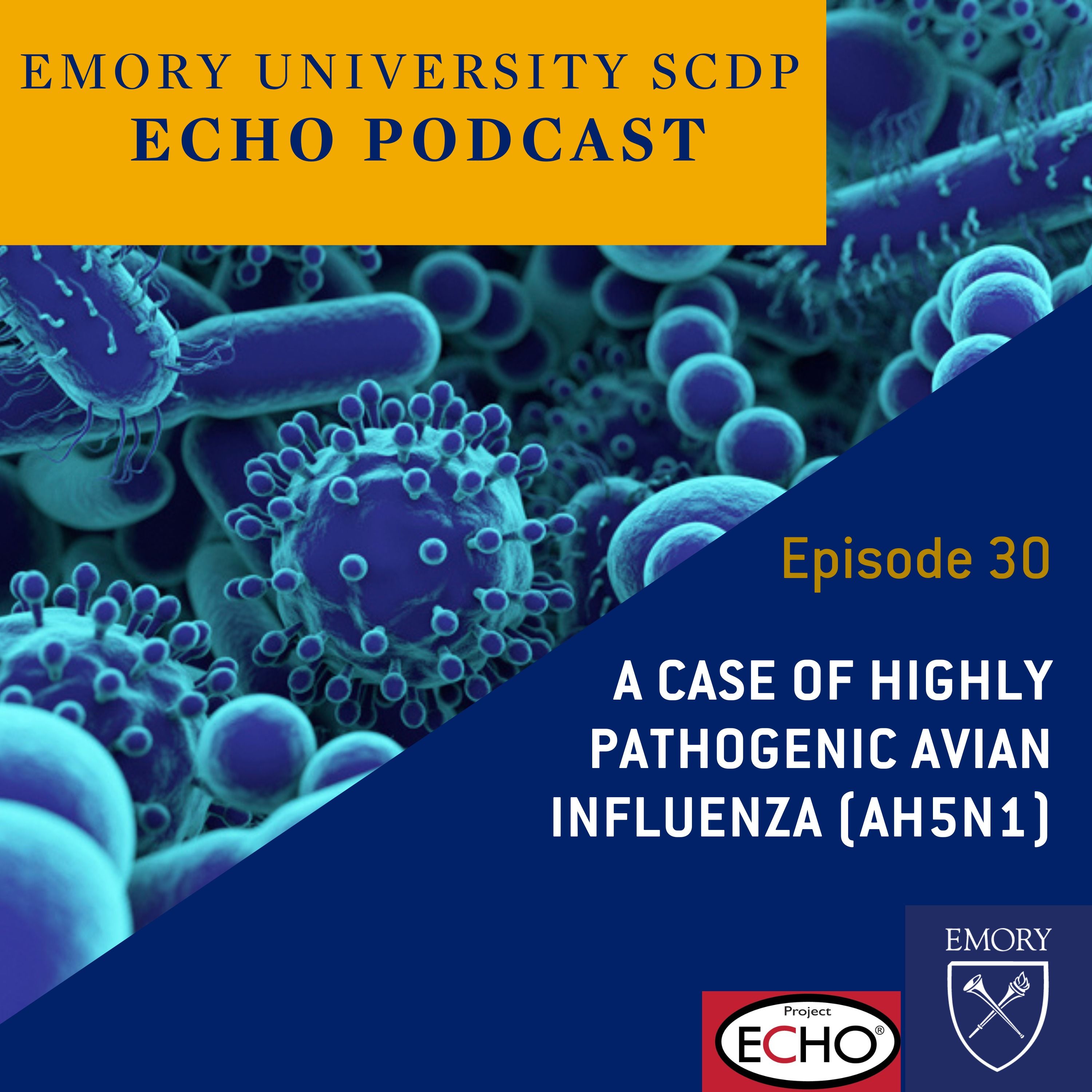 A Case of Highly Pathogenic Avian Influenza (AH5N1)