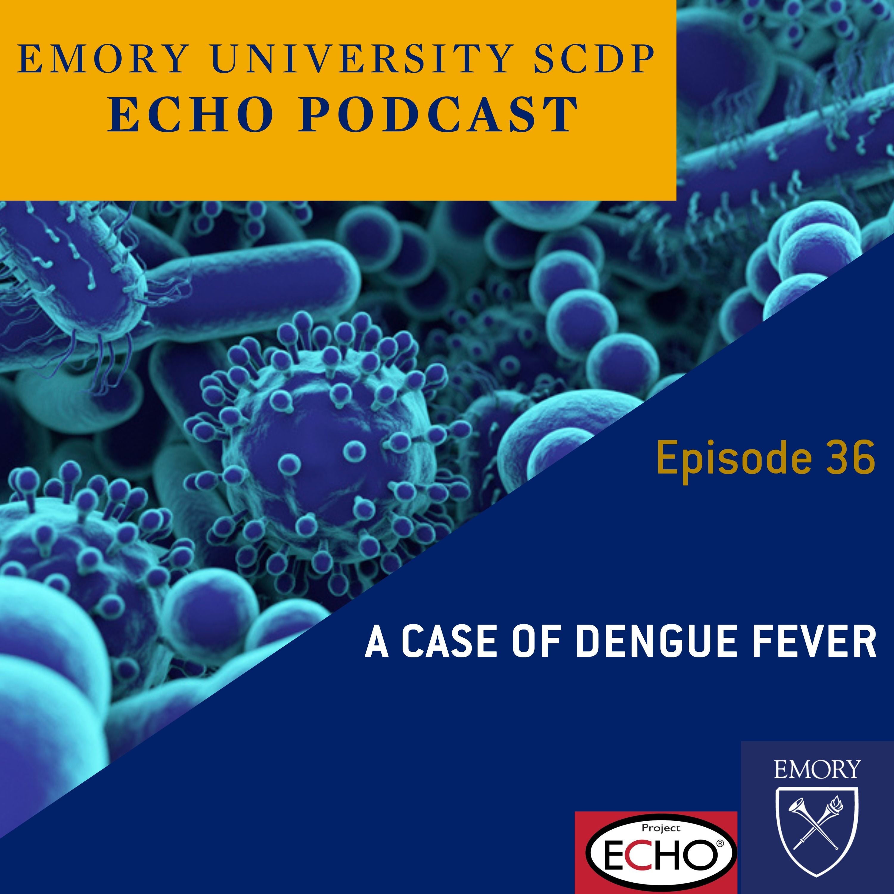 A Case of Dengue Fever