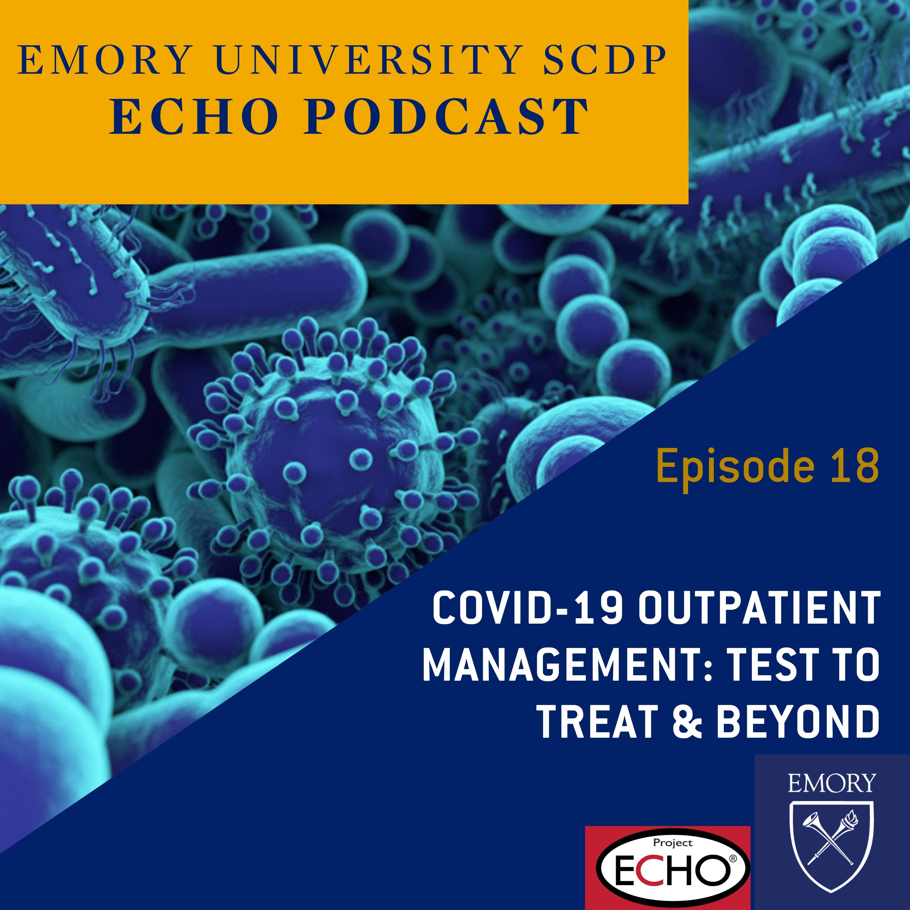 COVID-19 Outpatient Management: Test to Treat and Beyond