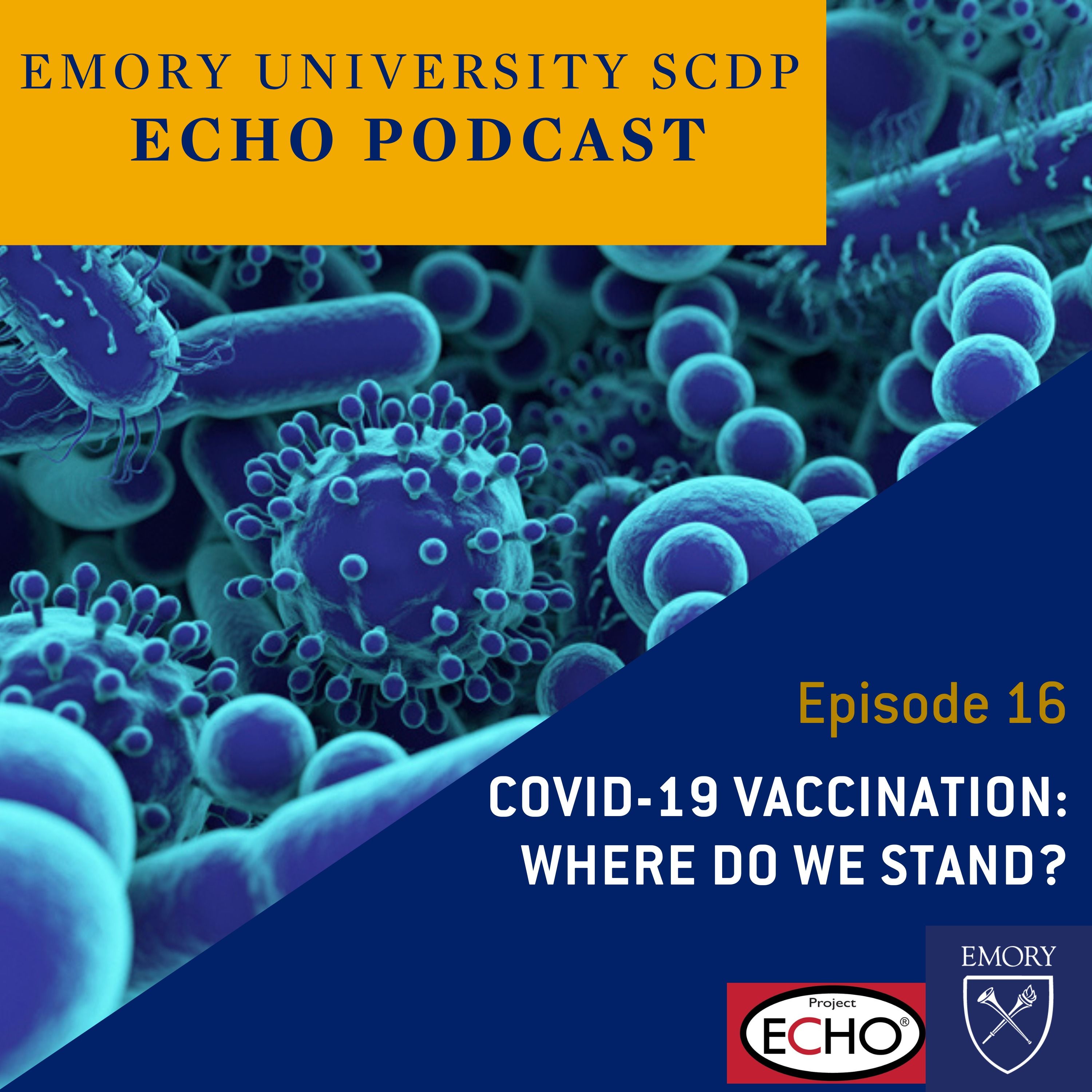 COVID-19 Vaccination: Where Do We Stand?