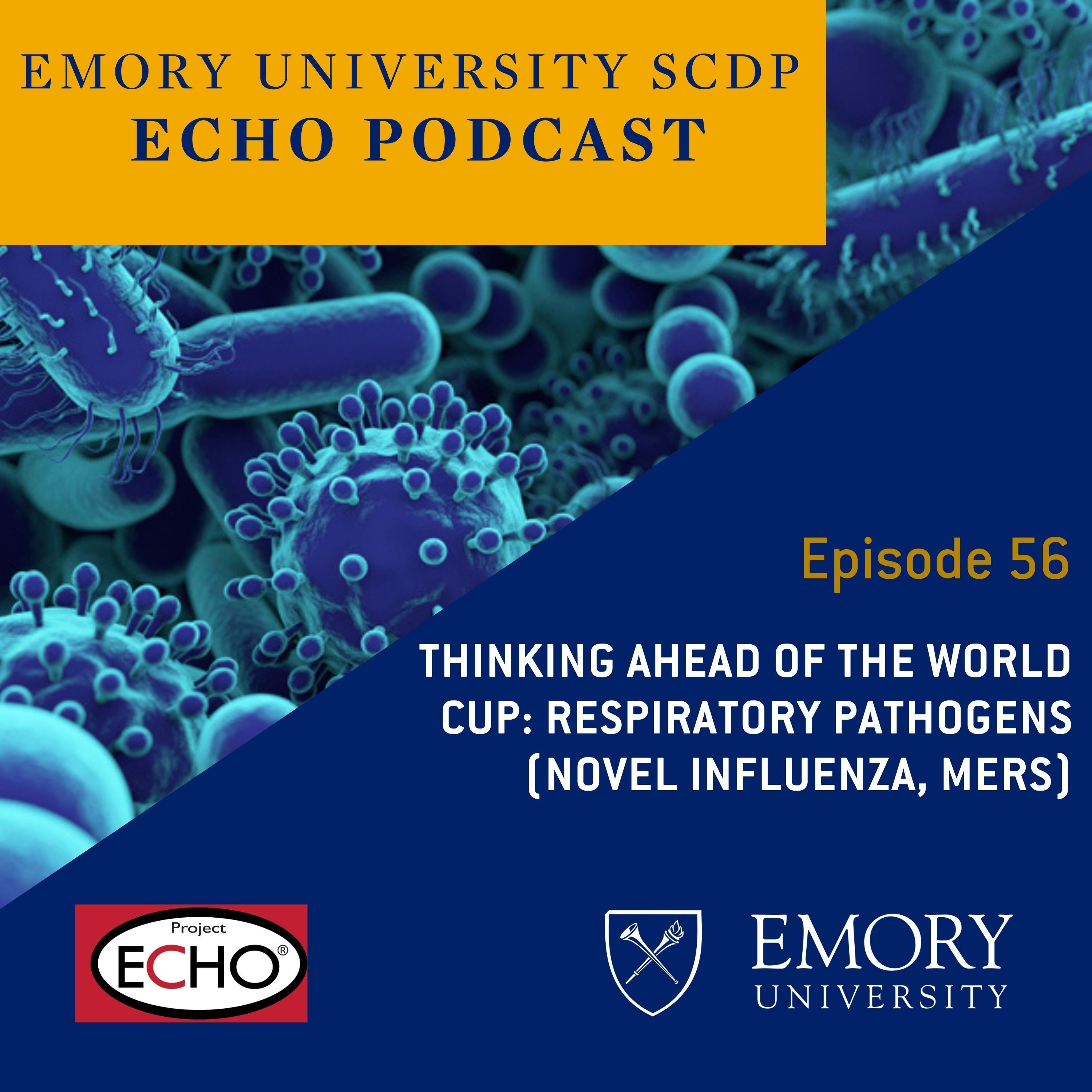 Thinking Ahead of the World Cup: Respiratory Pathogens (Novel Influenza, MERS) episode artwork