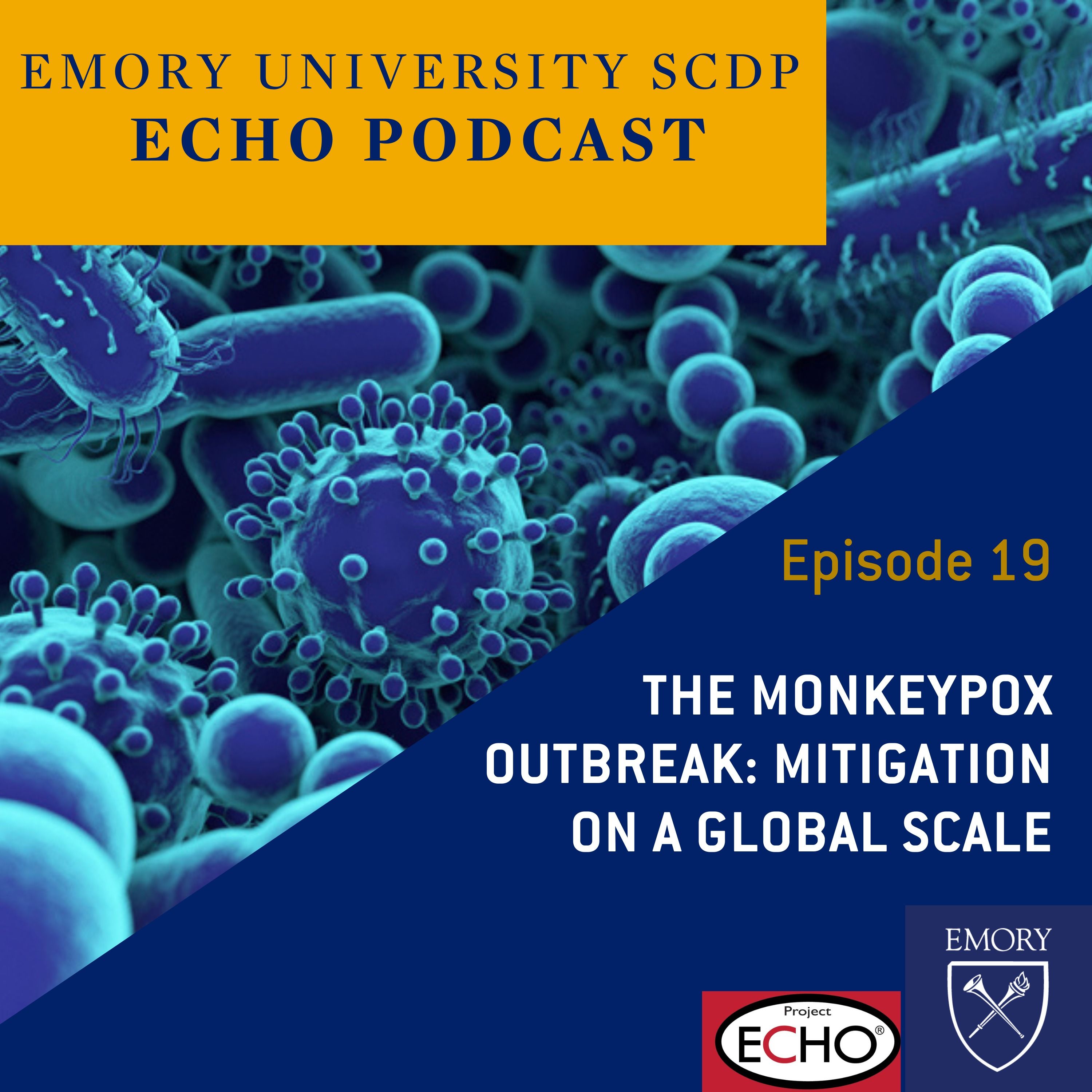 The Monkeypox Outbreak: Mitigation on a Global Scale